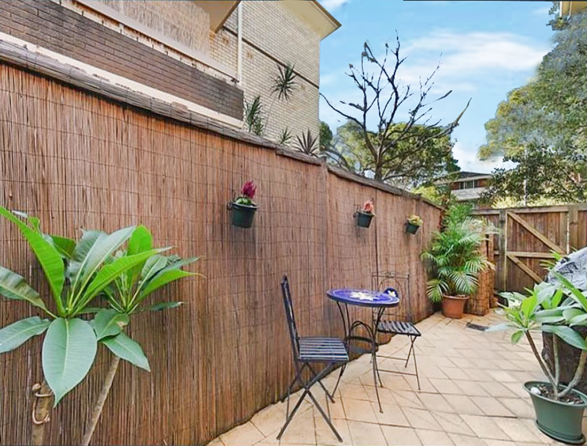 1 / 22 Lismore Avenue, Dee Why NSW 2099, Dee Why - Thumbnail 5