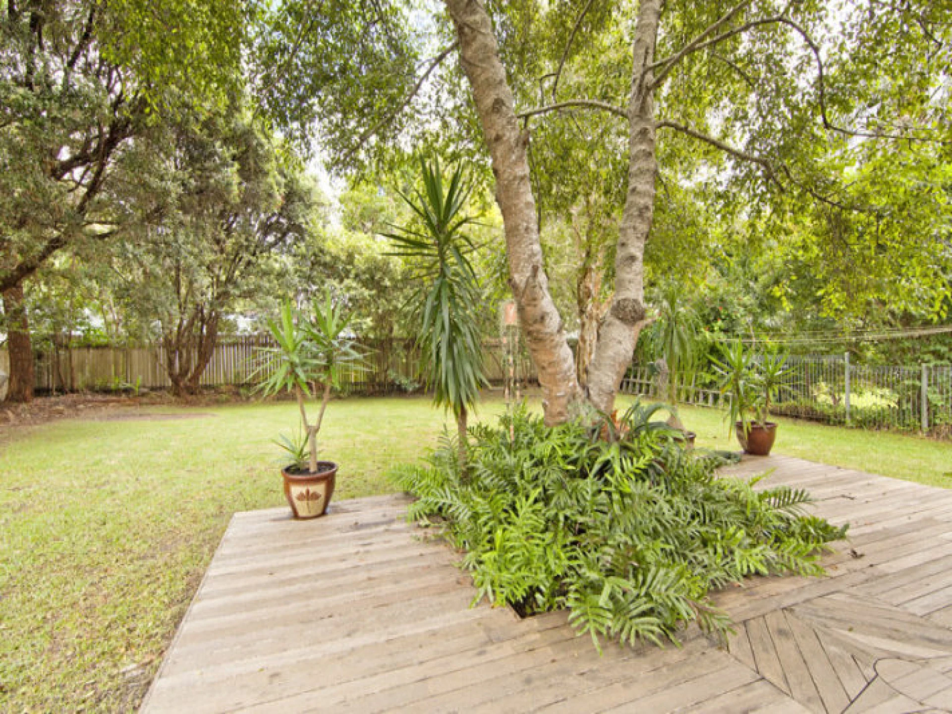 8 Joseph Street, Avalon Beach NSW 2107, Avalon Beach - Thumbnail 3