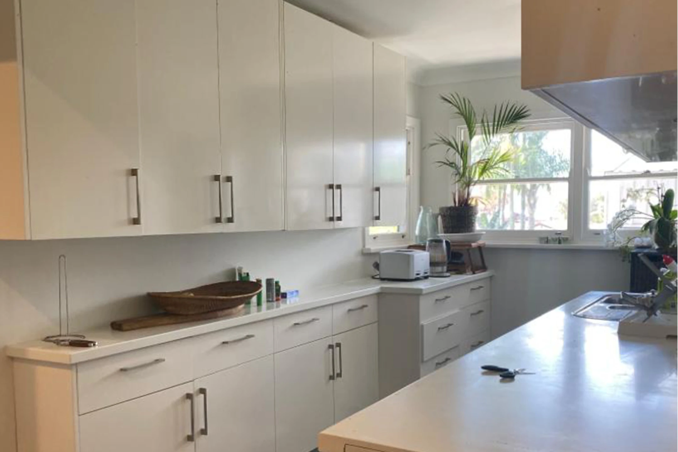 45 Lascelles Road, Narraweena NSW 2099, Narraweena - Thumbnail 5