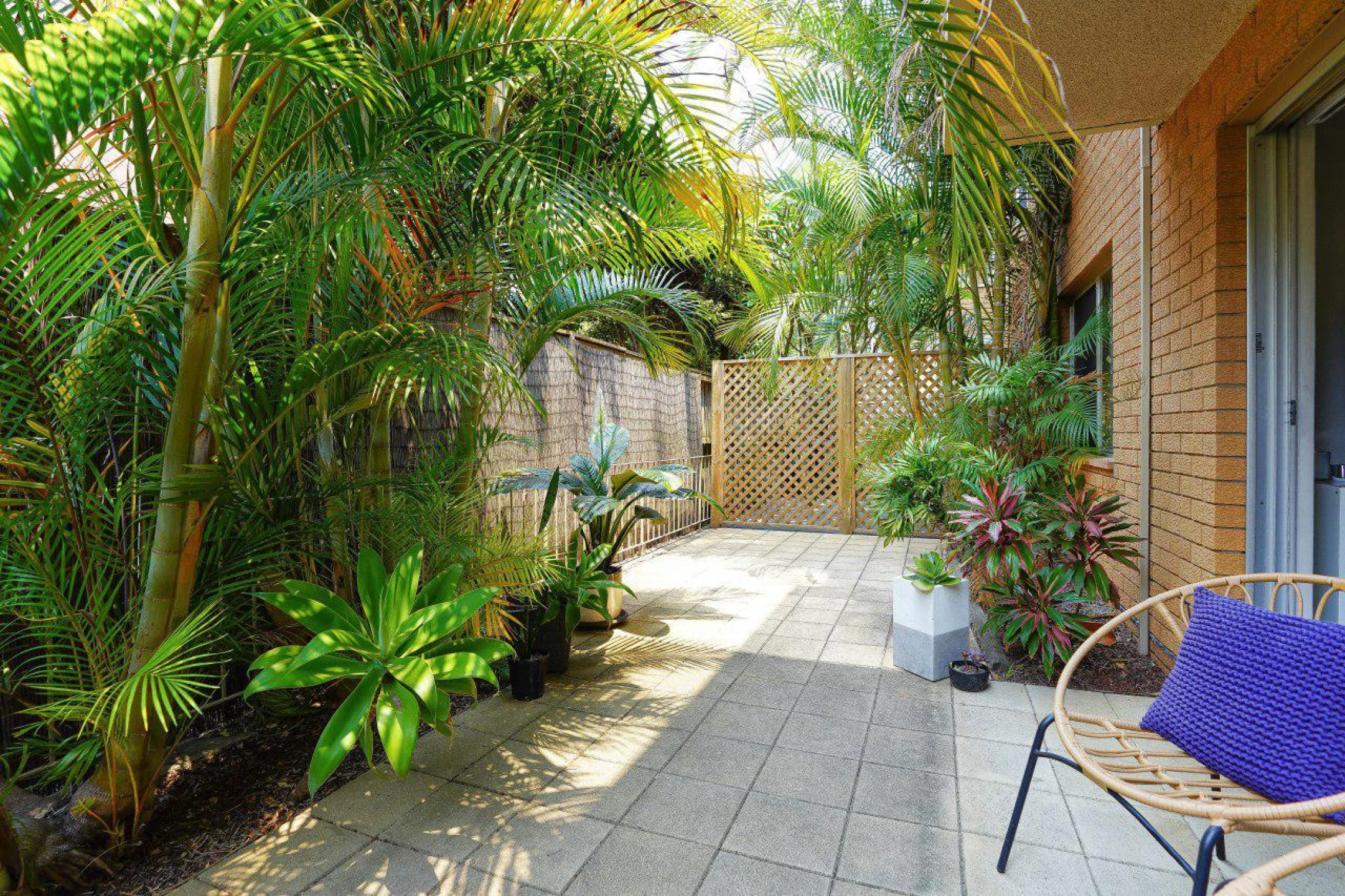 2 / 104 Pacific Parade, Dee Why NSW 2099, Dee Why - Thumbnail 2