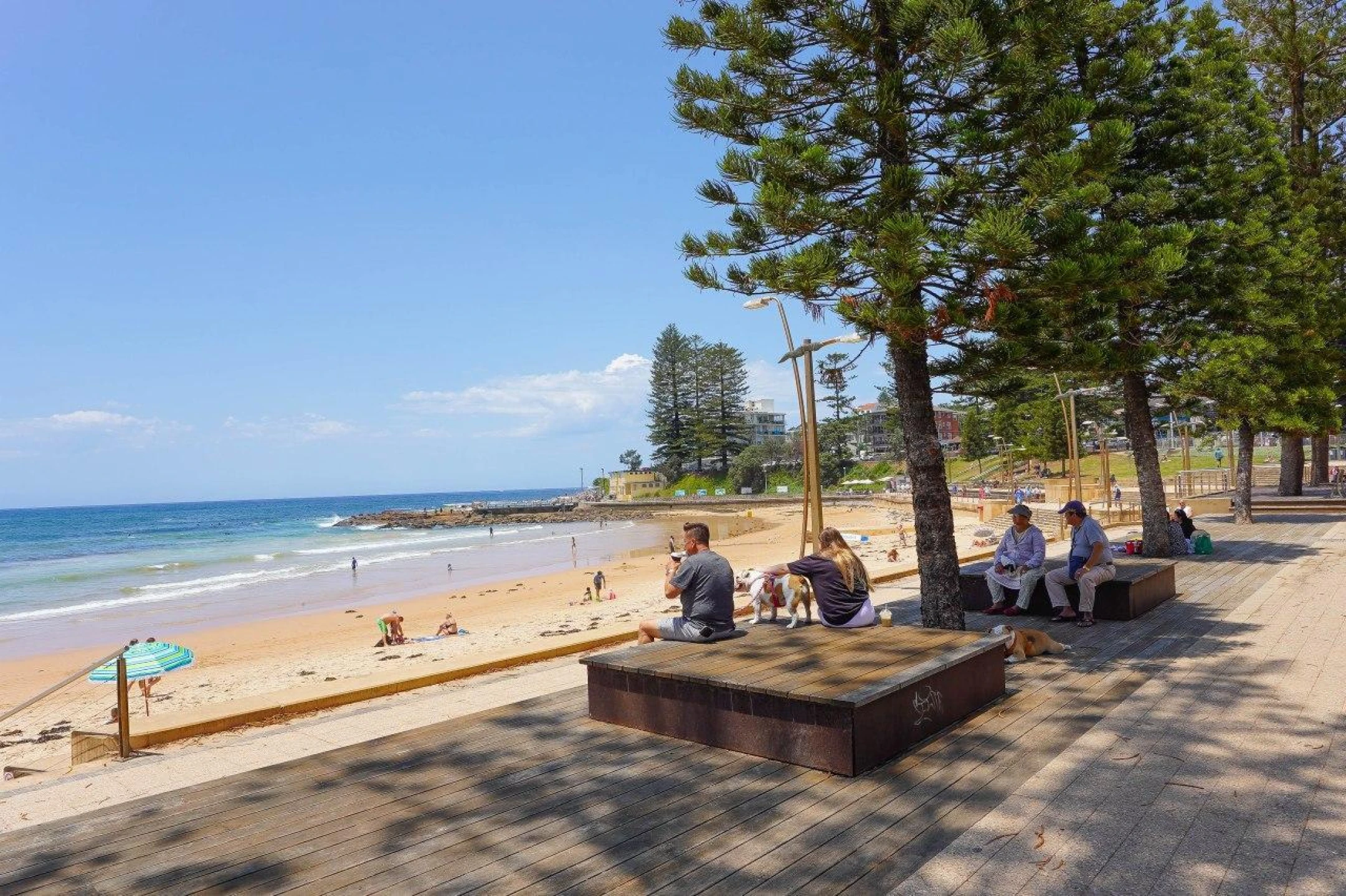 4 / 11 Avon Road, Dee Why NSW 2099, Dee Why - Thumbnail 7