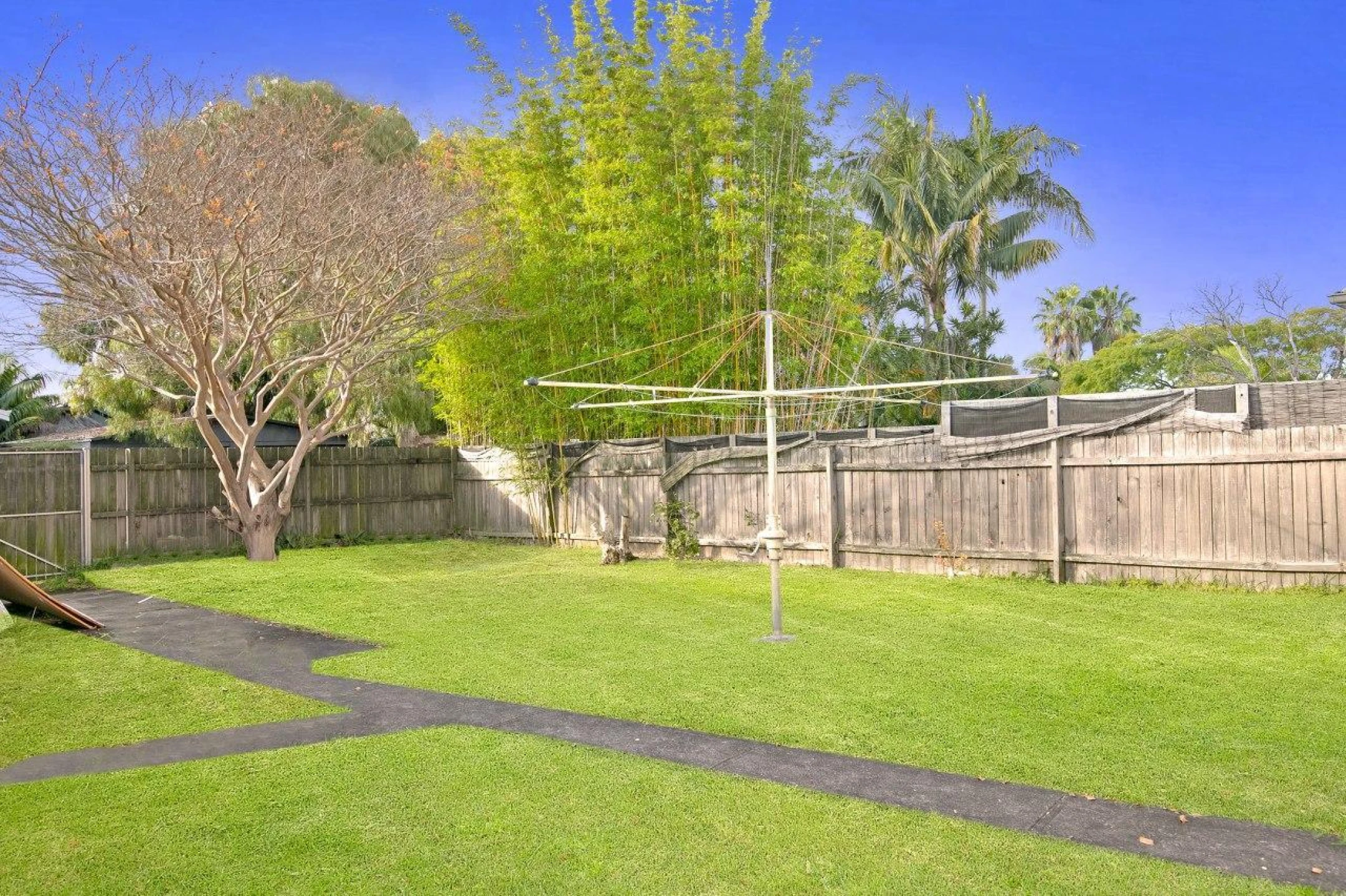 153 Wyndora Avenue, Freshwater NSW 2096, Freshwater - Thumbnail 6