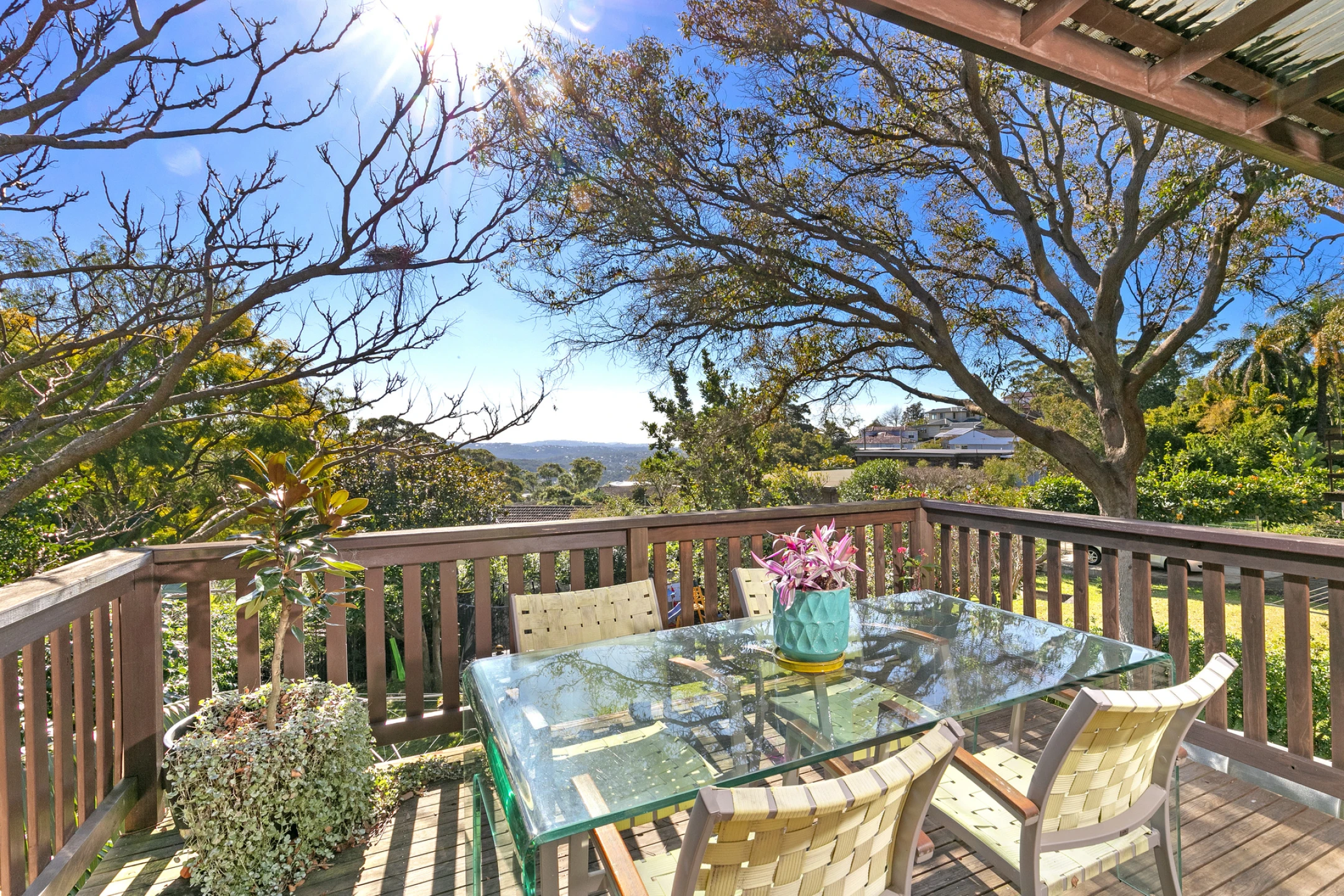 20 Carolyn Avenue, Beacon Hill NSW 2100, Beacon Hill - Thumbnail 5