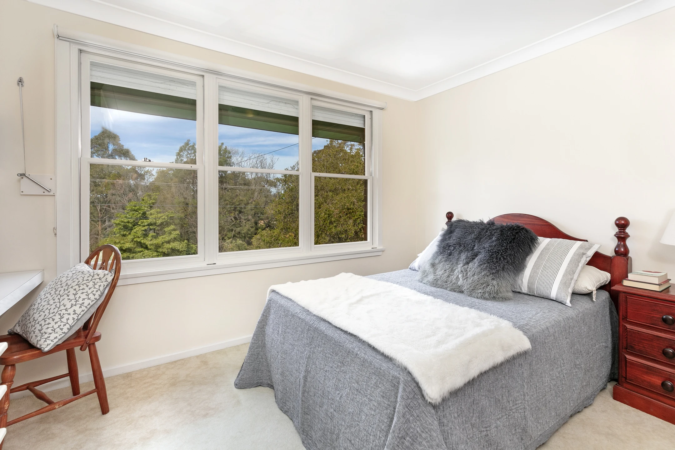 56 Cook Street, Forestville NSW 2087, Forestville - Thumbnail 6
