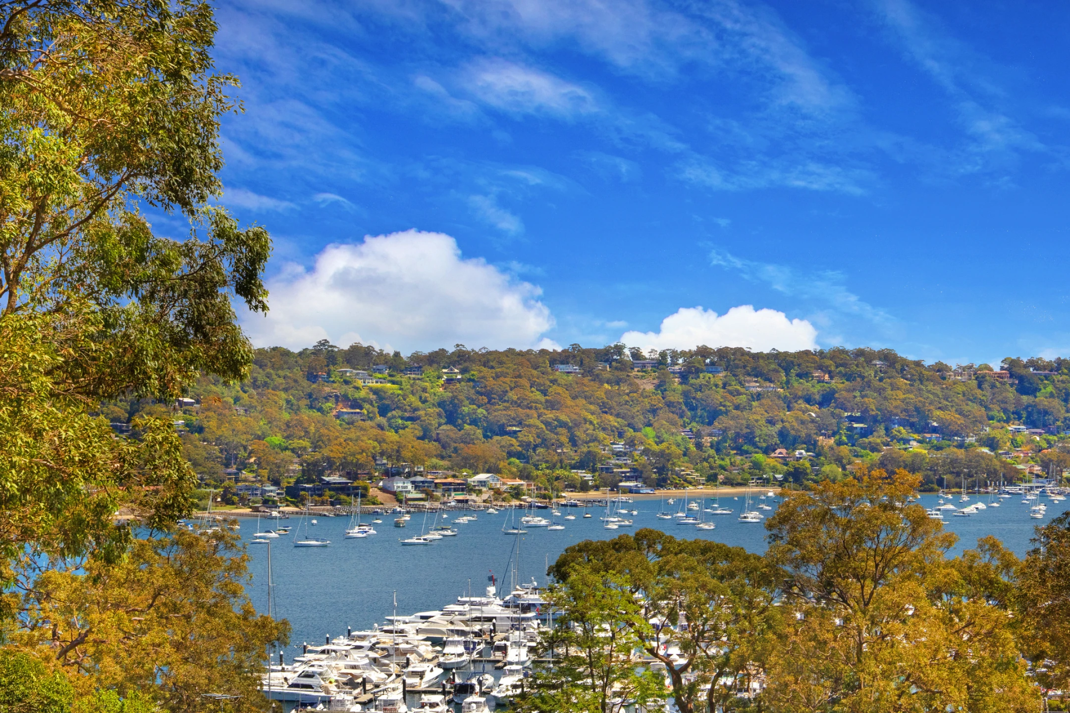 21 Prince Alfred Parade, Newport NSW 2106, Newport - Thumbnail 8