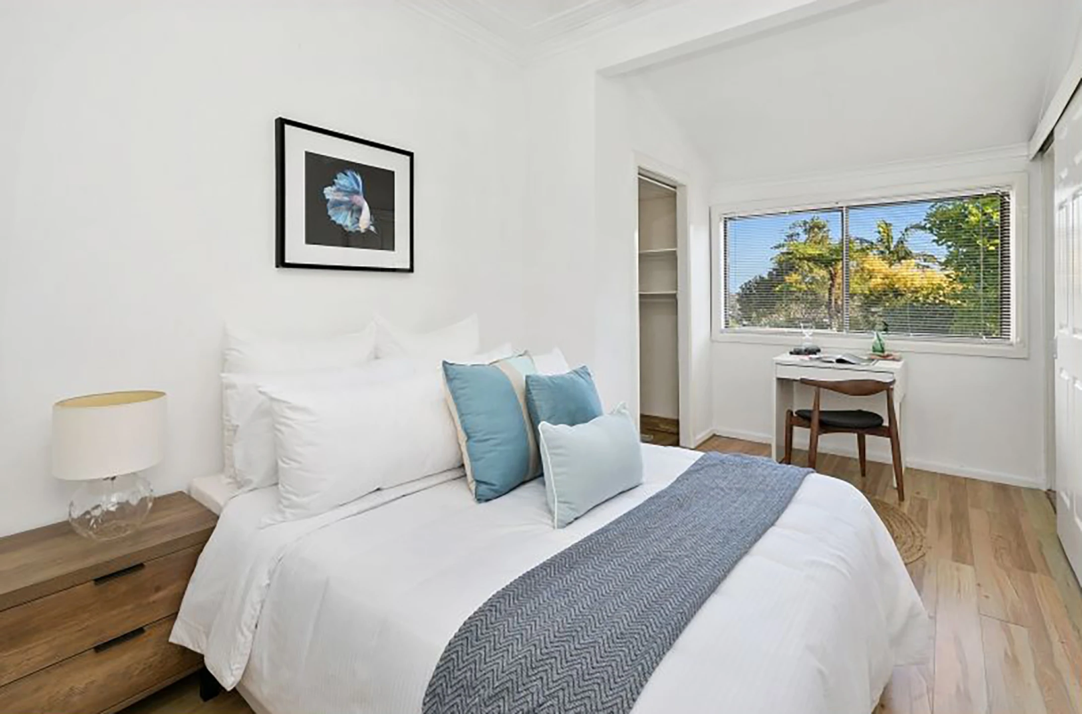 81 Beacon Hill Road, Beacon Hill NSW 2100, Beacon Hill - Thumbnail 3