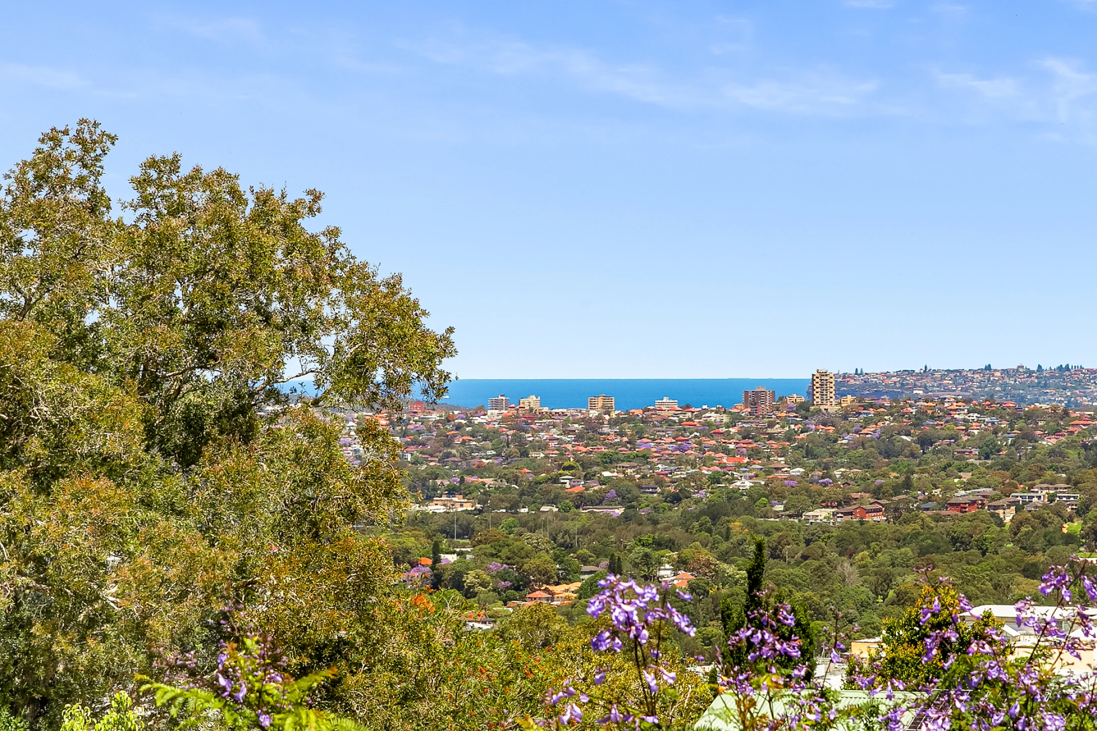 81 Beacon Hill Road, Beacon Hill NSW 2100, Beacon Hill - Thumbnail 6