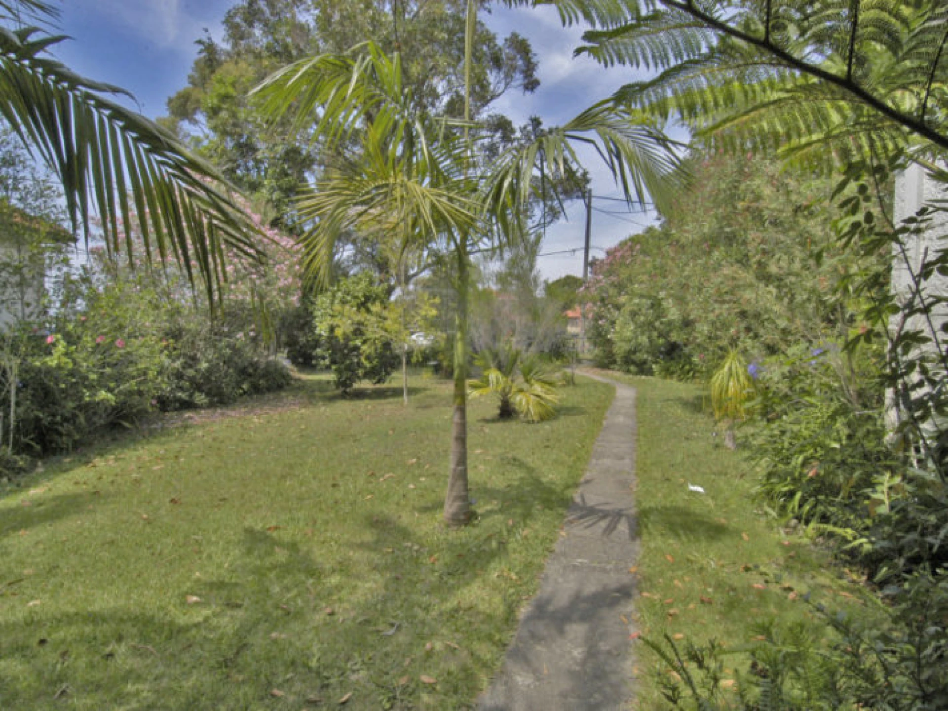 14 Alamein Avenue, Narraweena NSW 2099, Narraweena - Thumbnail 4