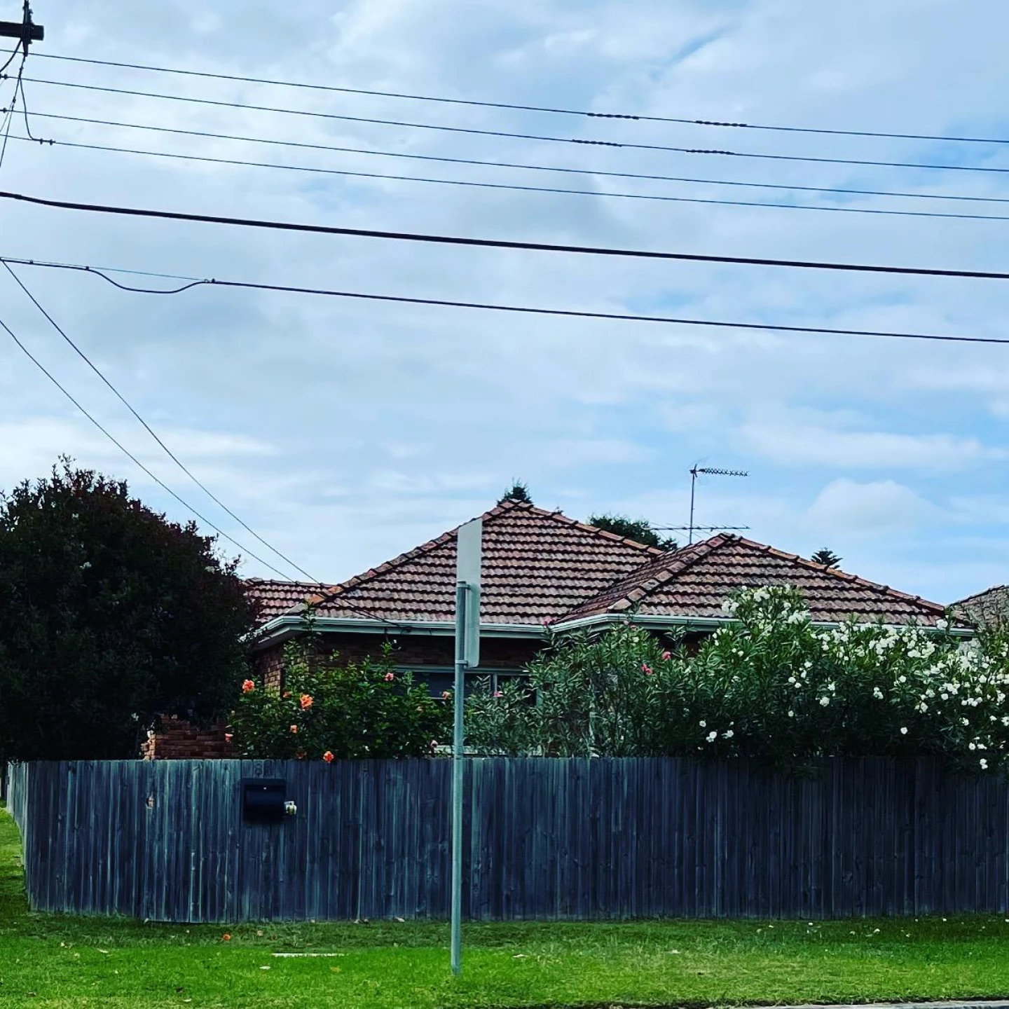 81 & 81A Edward Street, Narraweena NSW 2099, Narraweena - Thumbnail 2