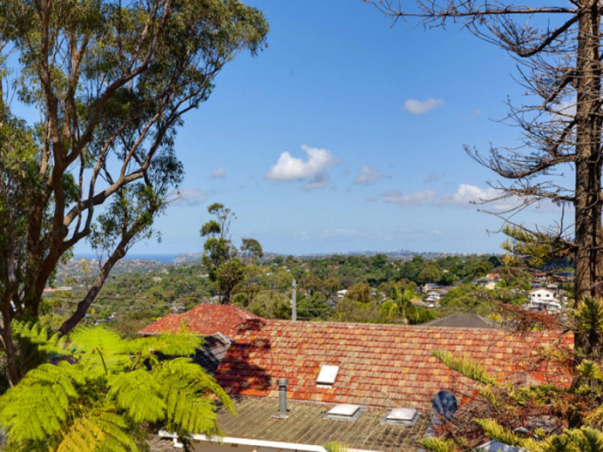 15 Earl Street :-), BEACON HILL NSW 2100, Beacon Hill - Thumbnail 3