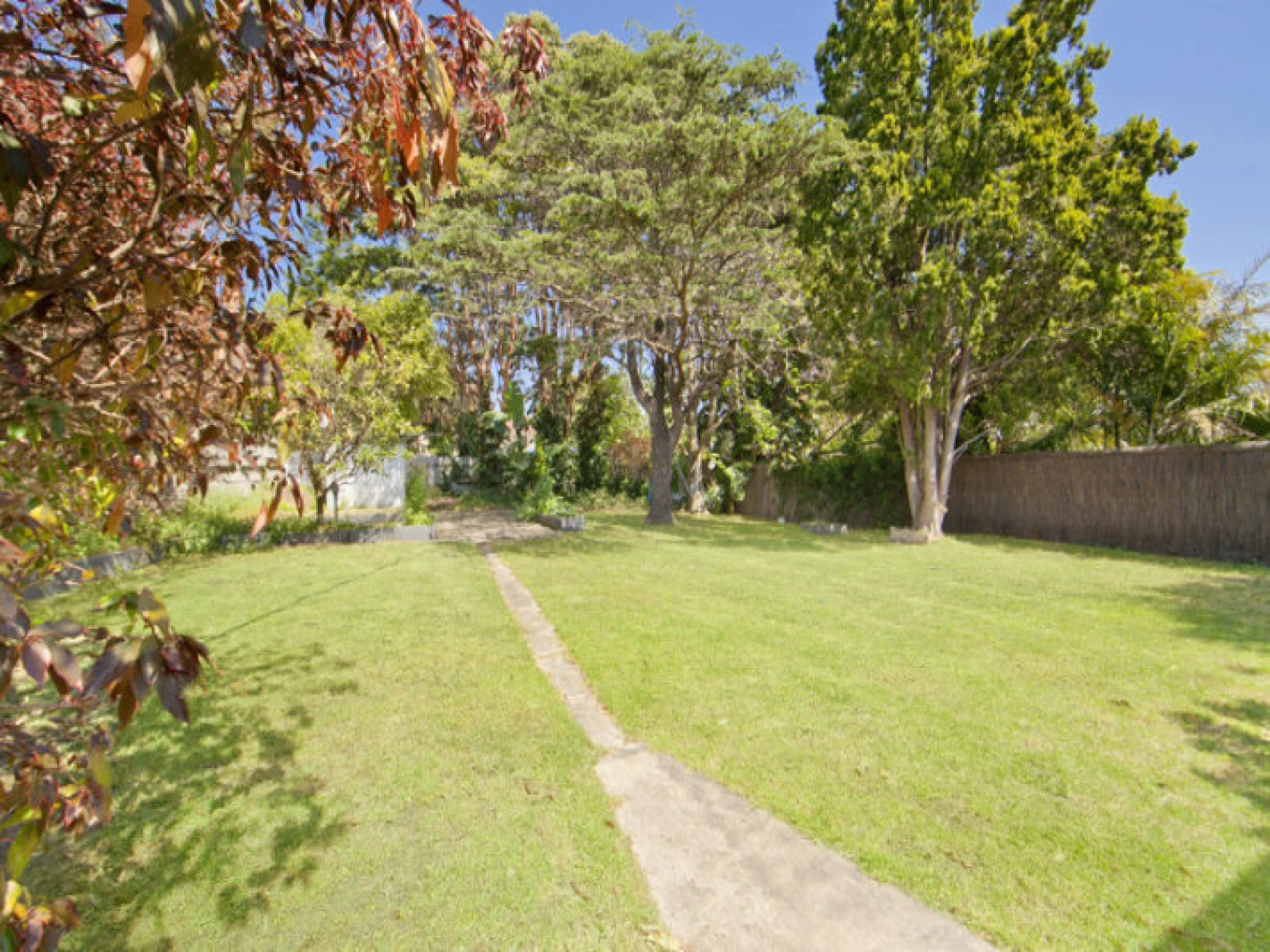 8 Carew Street :-), DEE WHY NSW 2099, Dee Why - Thumbnail 8