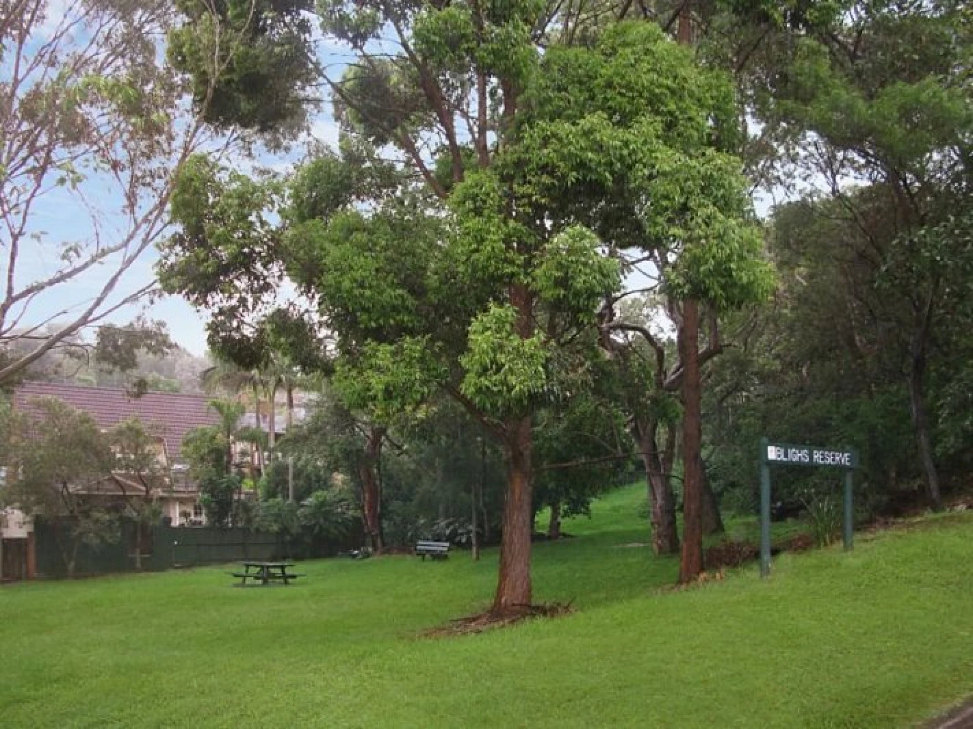 12 Blighs Road :-), CROMER NSW 2099, Cromer - Thumbnail 3