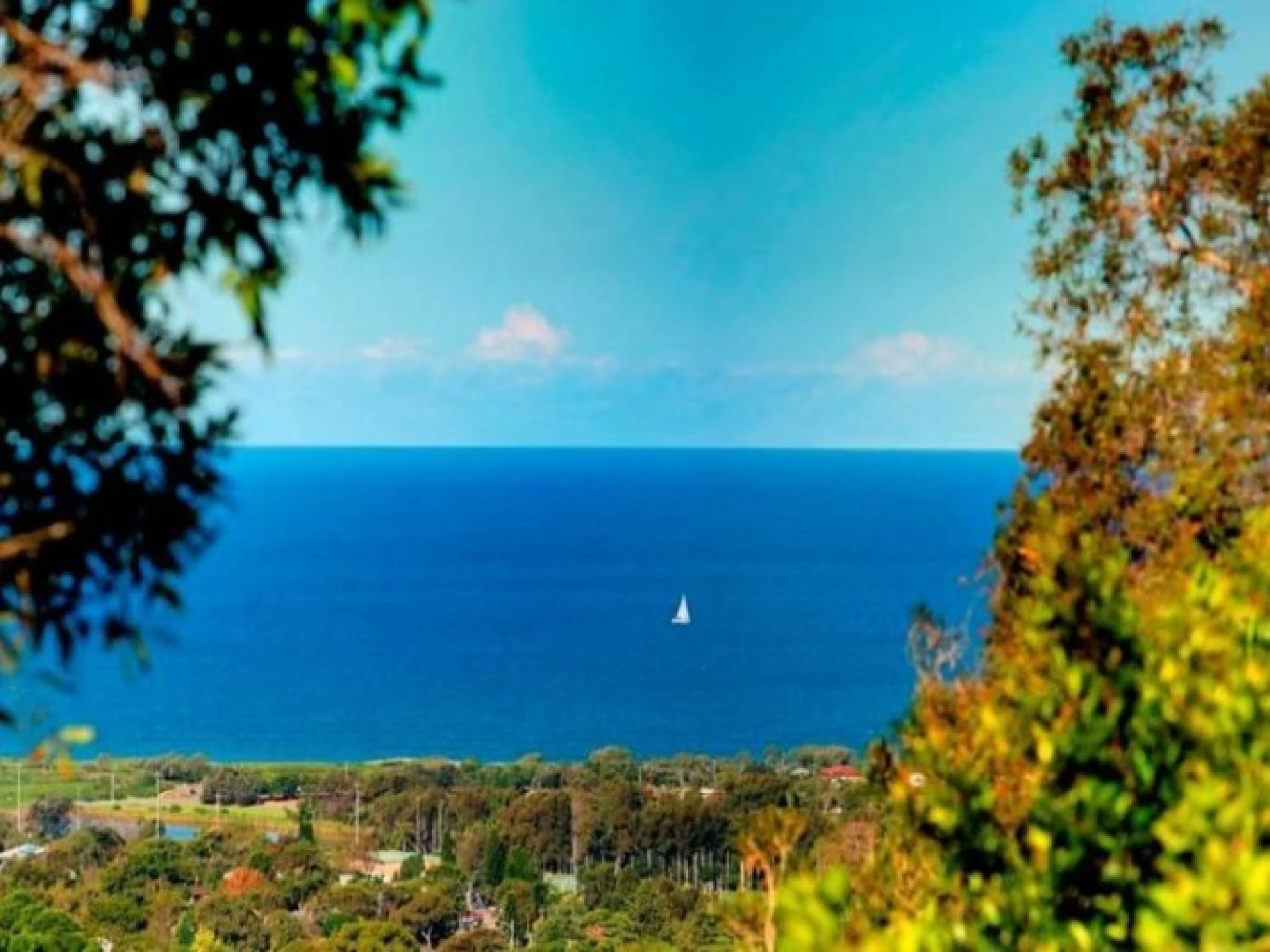 159 Warringah Road :-), BEACON HILL NSW 2100, Beacon Hill - Thumbnail 7