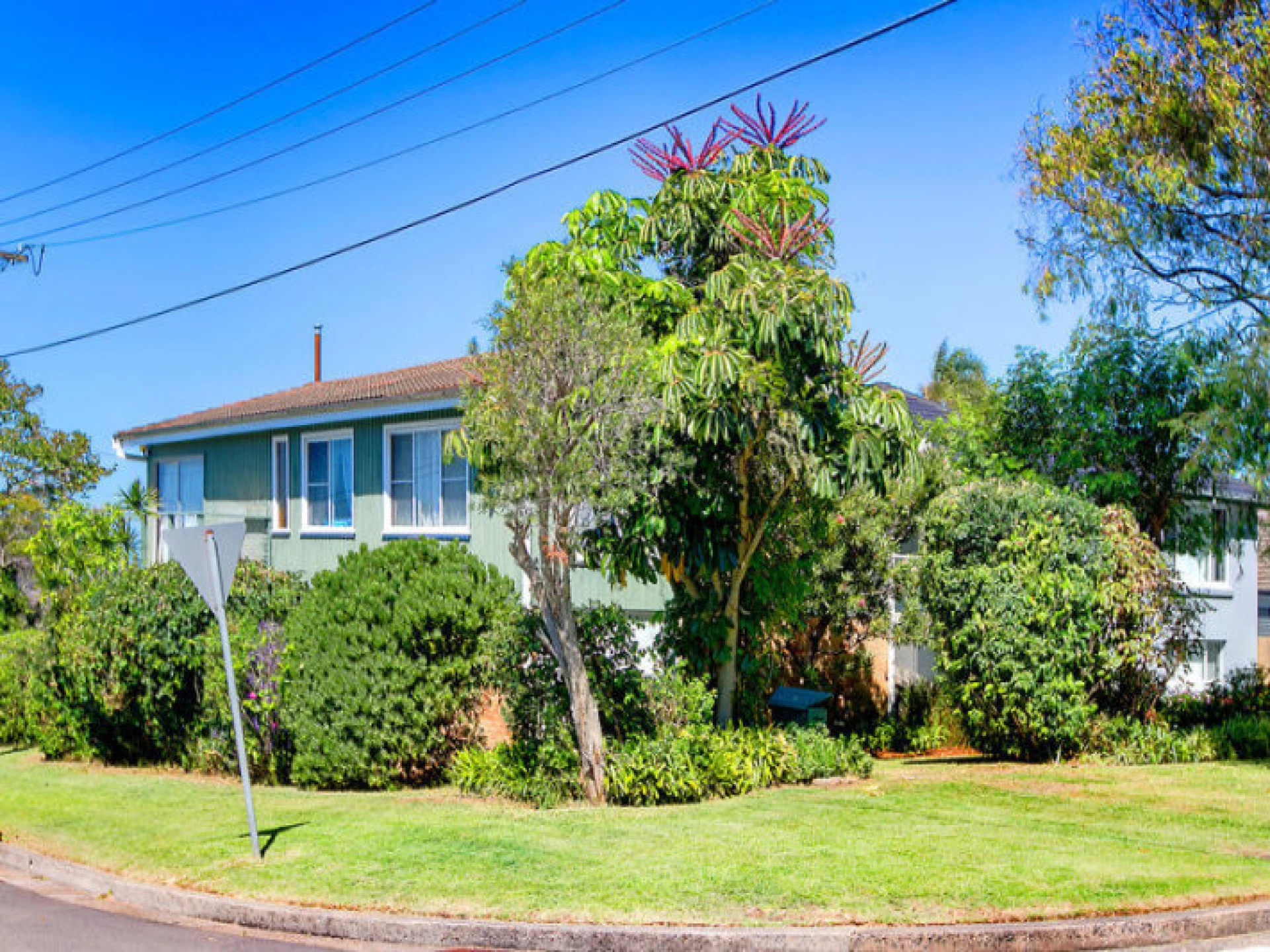 59 Idaline Street :-), COLLAROY PLATEAU NSW 2097, Collaroy Plateau - Thumbnail 6