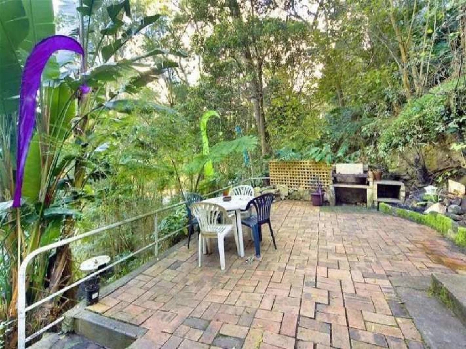 87 Ryan Place :-), BEACON HILL NSW 2100, Beacon Hill - Thumbnail 5