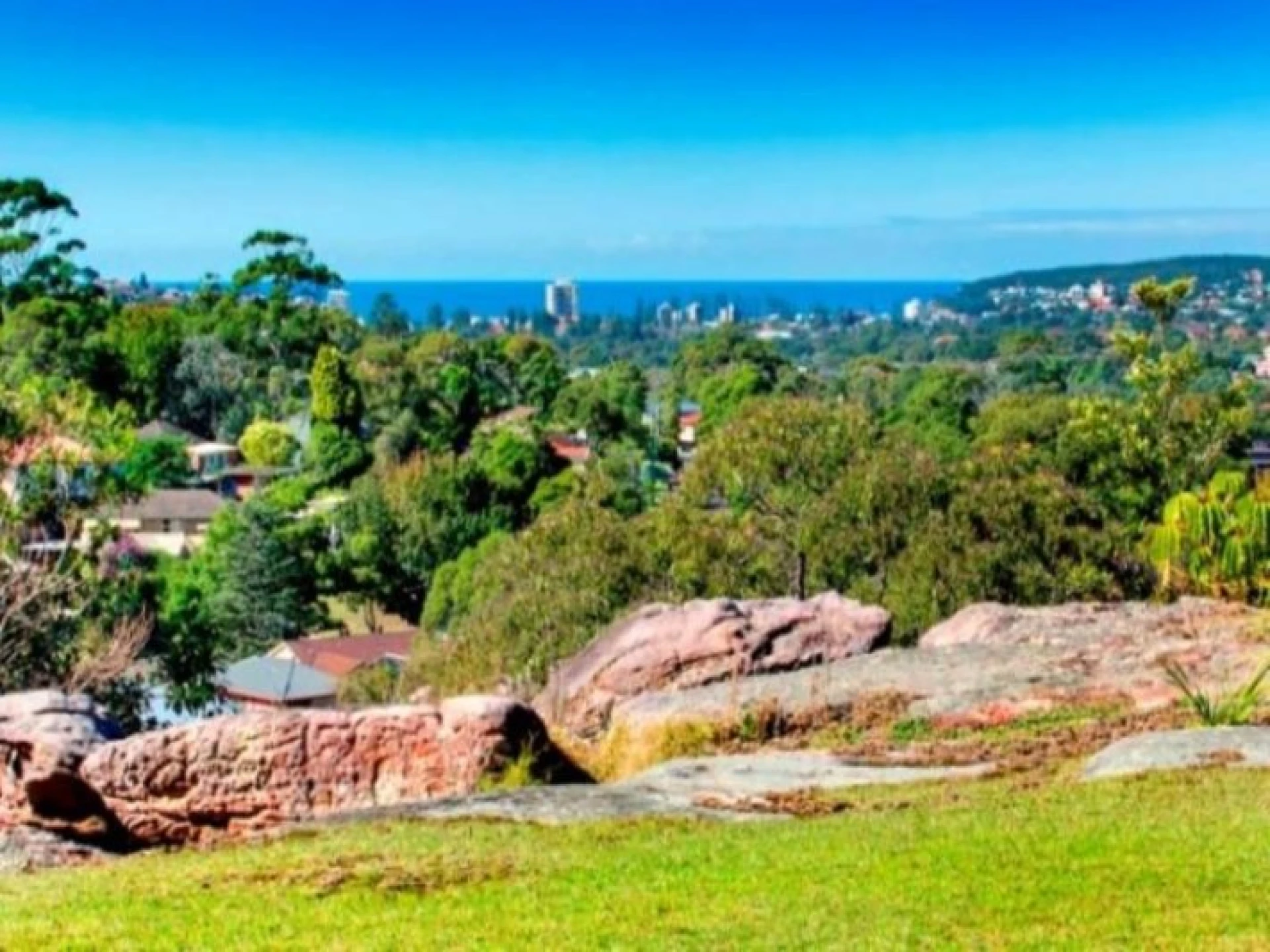 49 Binalong Avenue :-), ALLAMBIE HEIGHTS NSW 2100, Allambie Heights - Thumbnail 4