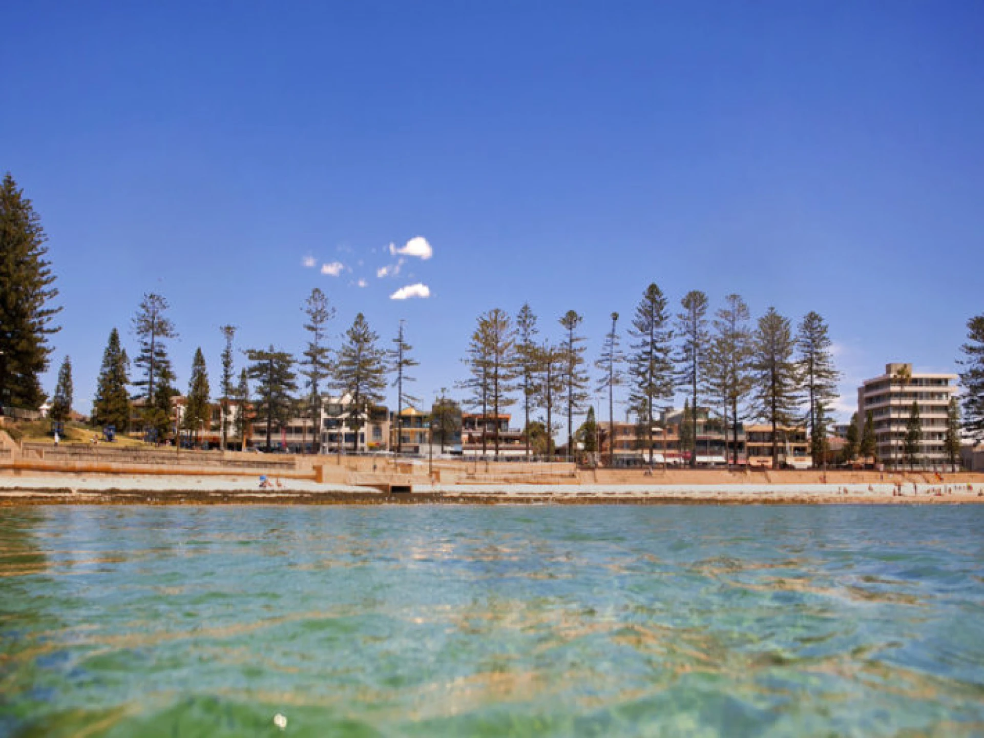 9 / 24 Sturdee Parade :-), DEE WHY NSW 2099, Dee Why - Thumbnail 6