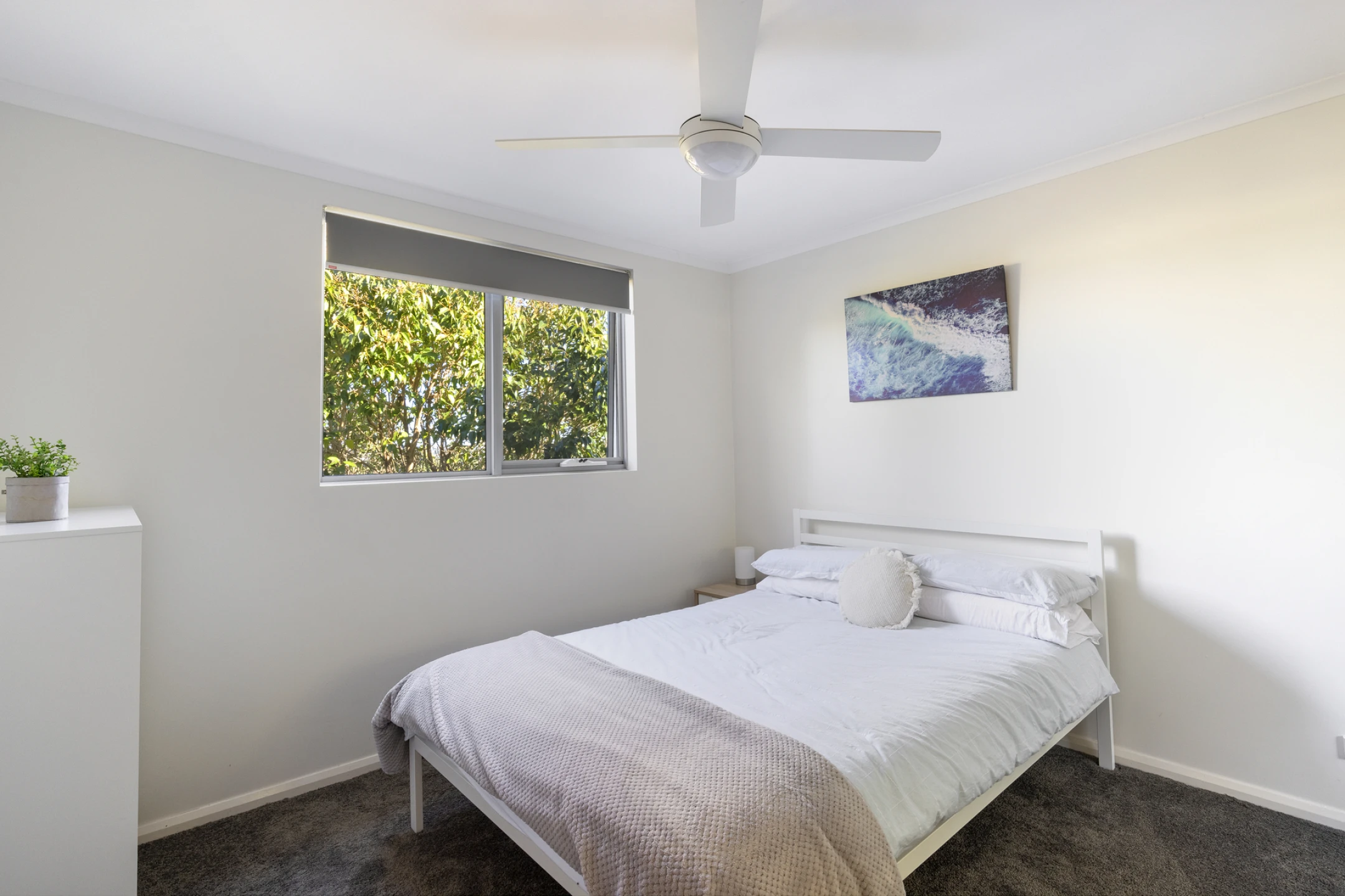 10 / 2 Brookvale Avenue, Brookvale NSW 2100, Brookvale - Thumbnail 8