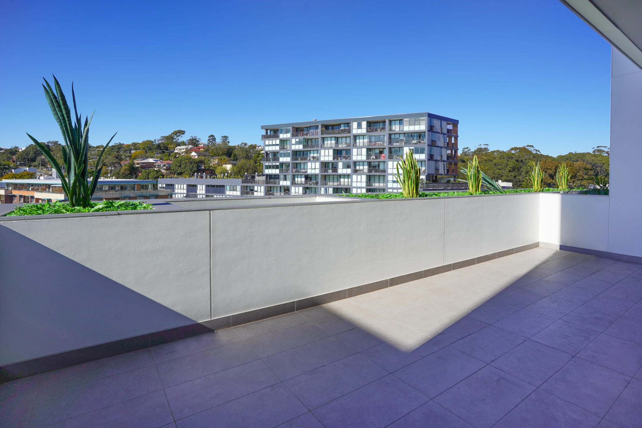 A409 / 5 Mooramba Road, Dee Why NSW 2099, Dee Why - Thumbnail 7