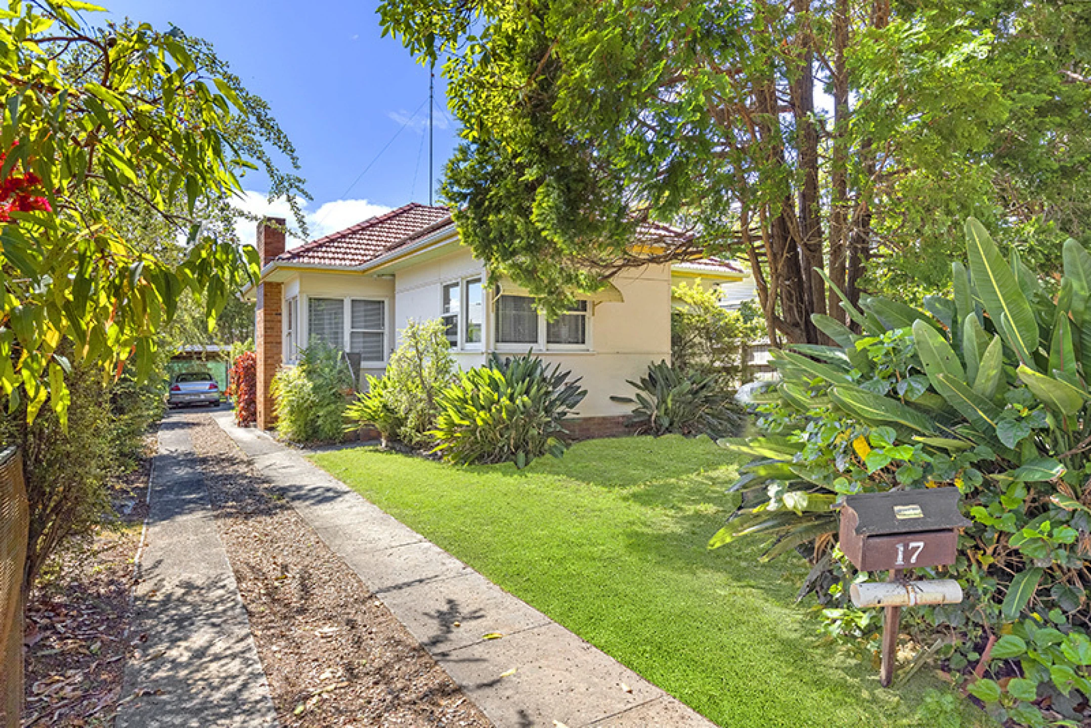17 Arthur Street, Dee Why NSW 2099, Dee Why - Thumbnail 4