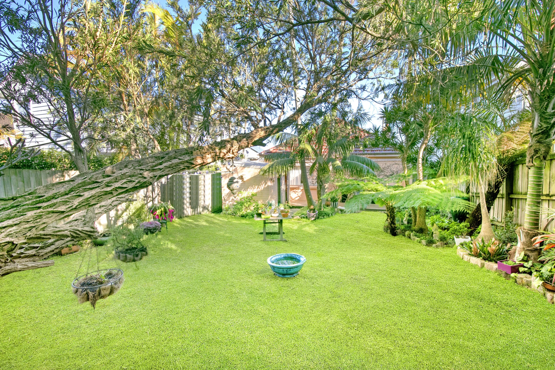 21 Carlton Street, Freshwater NSW 2096, Freshwater - Thumbnail 2
