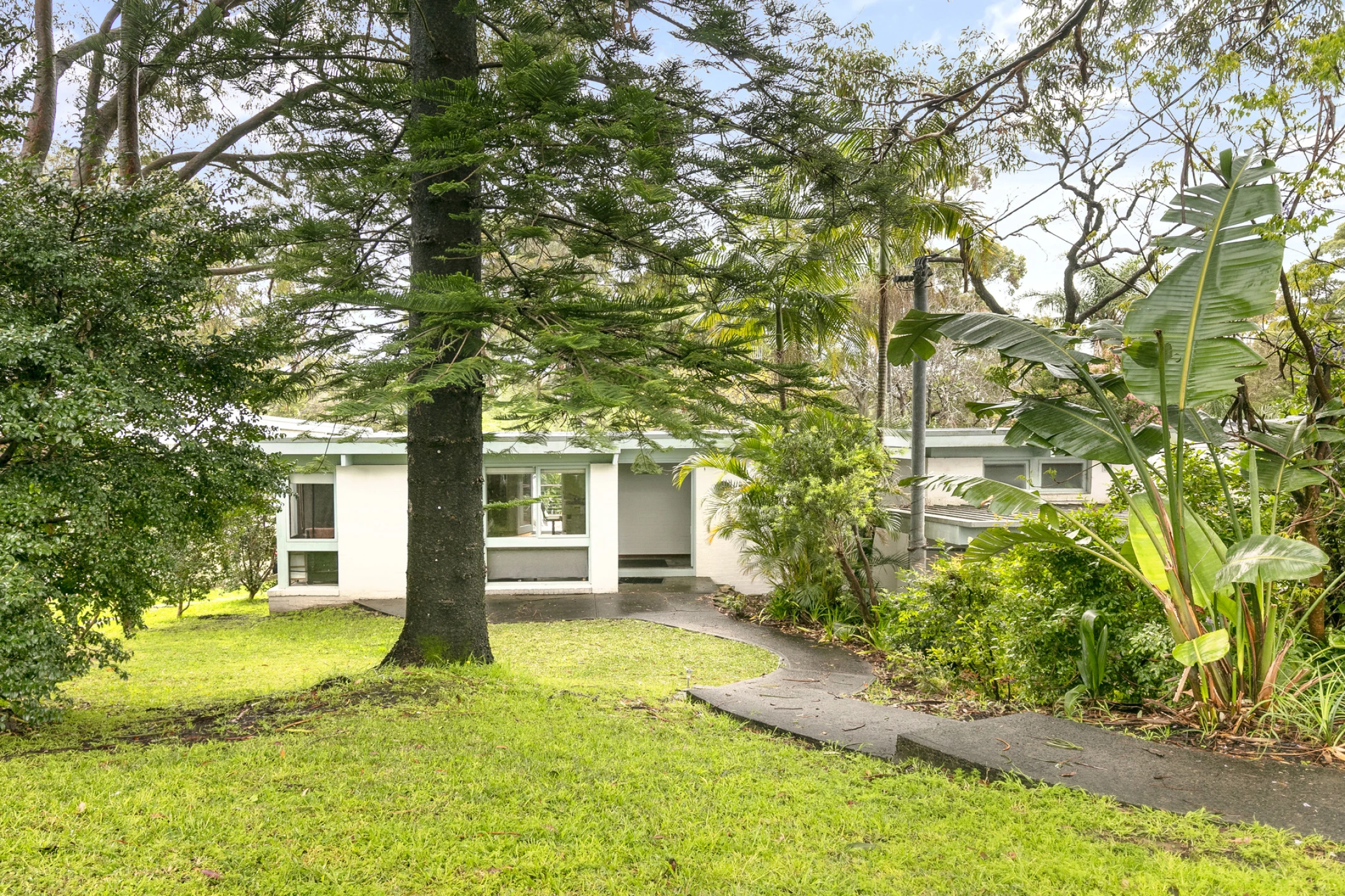 23 Wesley Street, Elanora Heights NSW 2101, Elanora Heights - Thumbnail 5