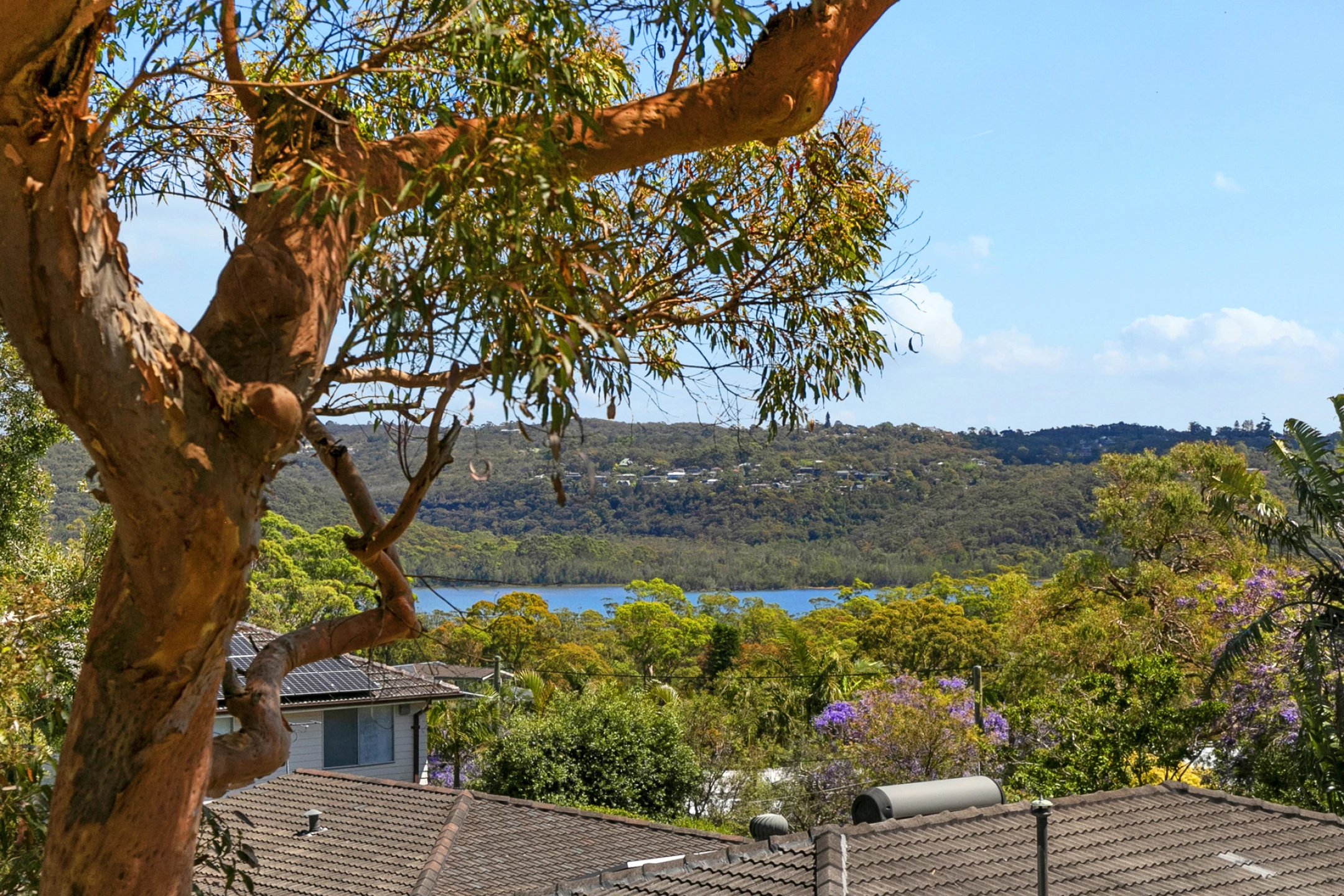 9 Langdale Place, Wheeler Heights NSW 2097, Wheeler Heights - Thumbnail 2