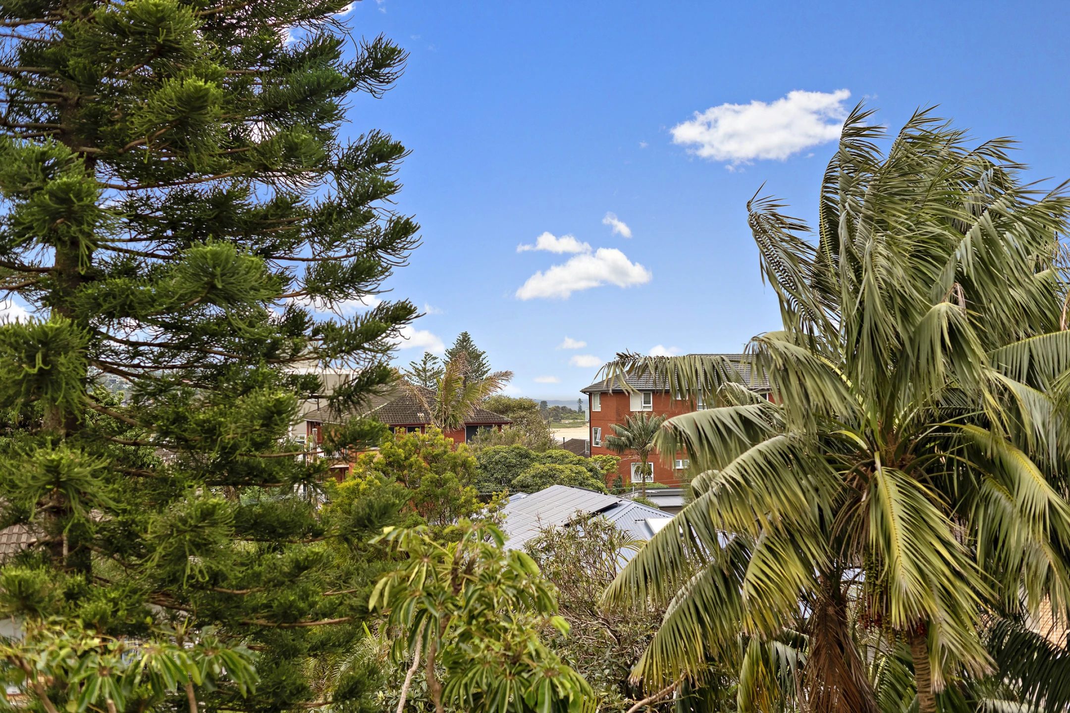 15 / 36 Banksia Street, Dee Why NSW 2099, Dee Why - Thumbnail 2