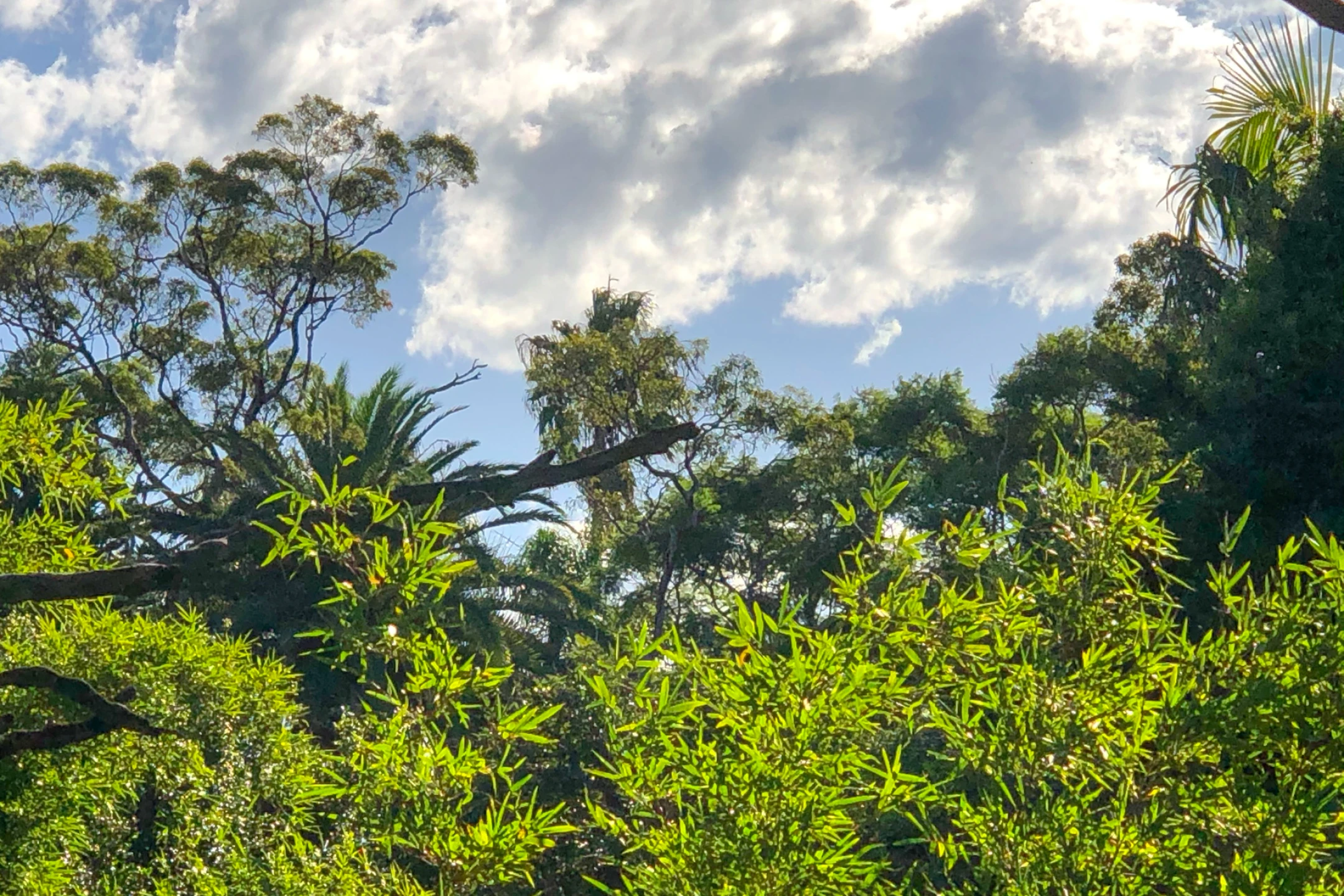 15 / 8 Francis Street, Dee Why NSW 2099, Dee Why - Thumbnail 3