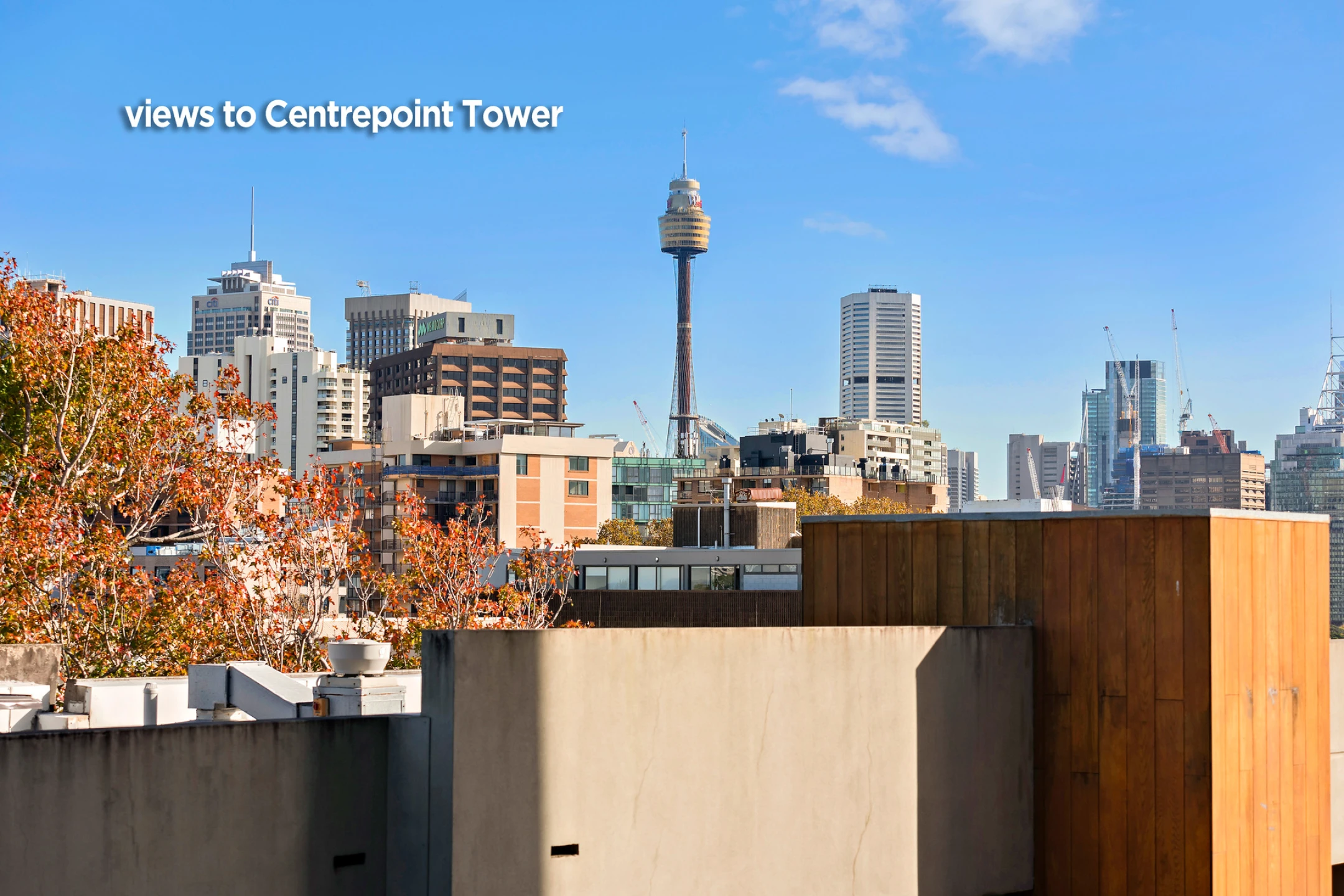301 / 417 Bourke Street, Surry Hills NSW 2010, Surry Hills - Thumbnail 5