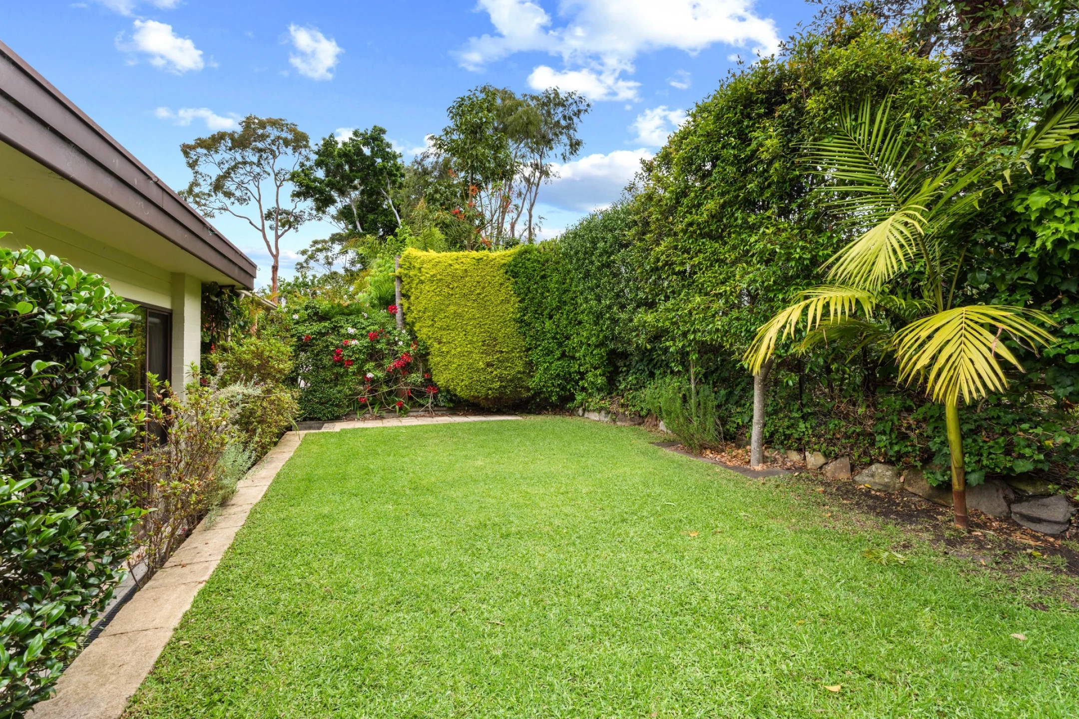 6 Bowness Street, Wheeler Heights NSW 2097, Wheeler Heights - Thumbnail 7