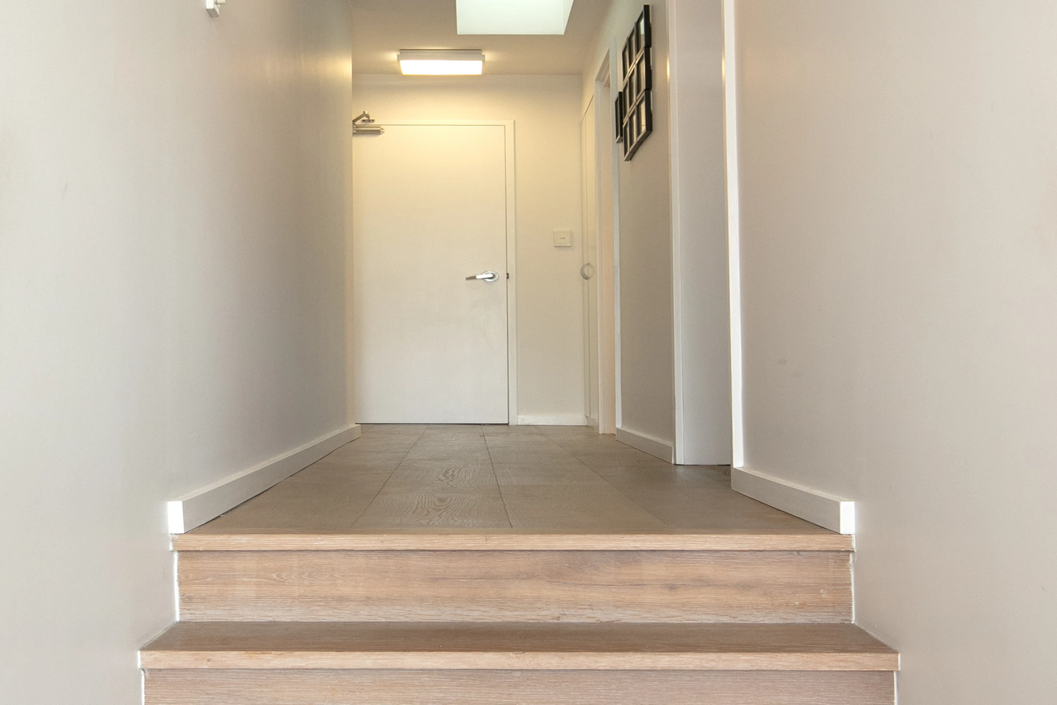 3 / 299 Condamine Street, Manly Vale NSW 2093, Manly Vale - Thumbnail 7