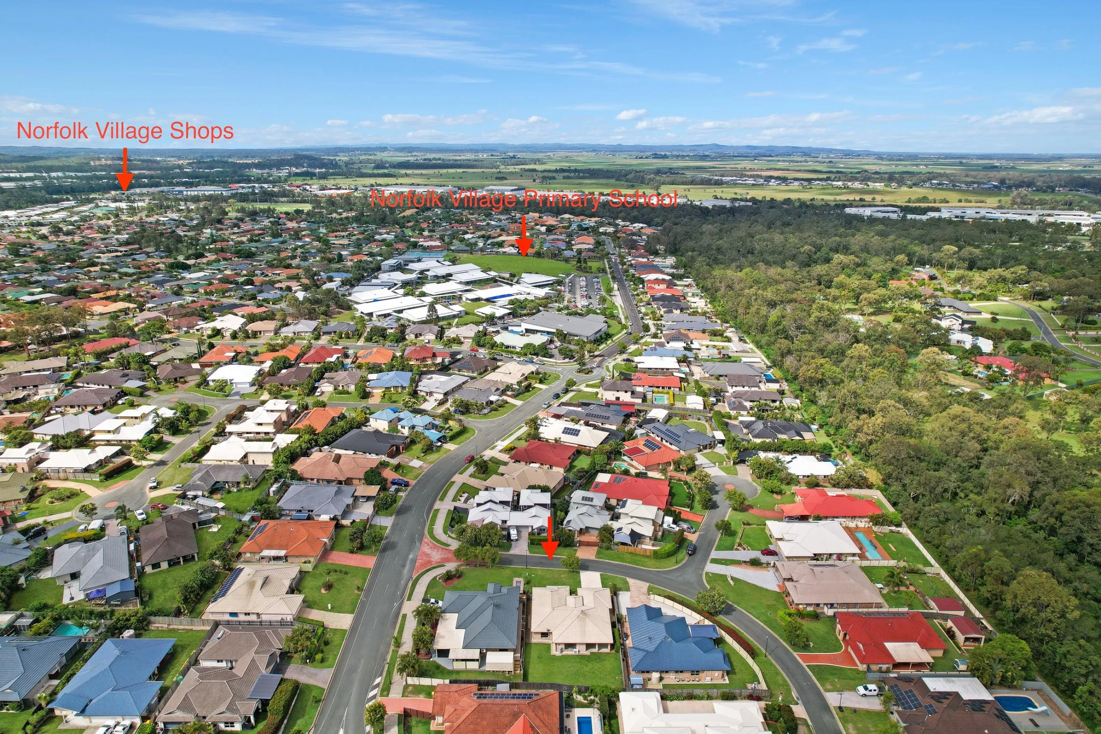 3 Callicoma Court, Ormeau QLD 4208, Ormeau - Thumbnail 3
