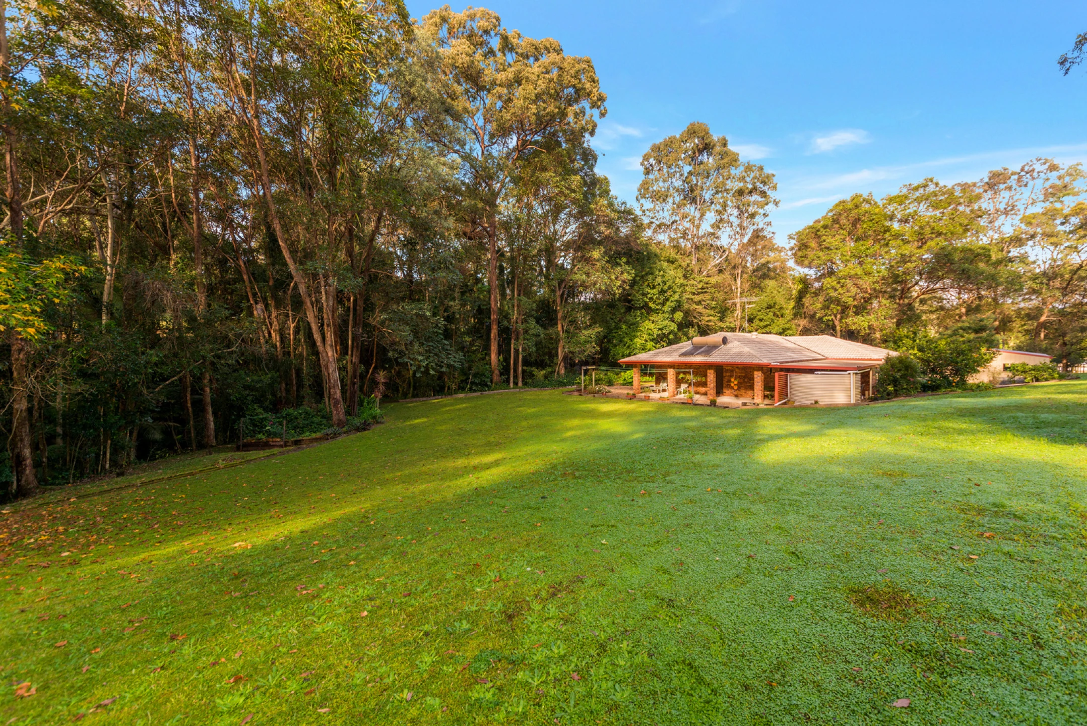 68 Guara Grove, Pimpama QLD 4209, Pimpama - Thumbnail 2