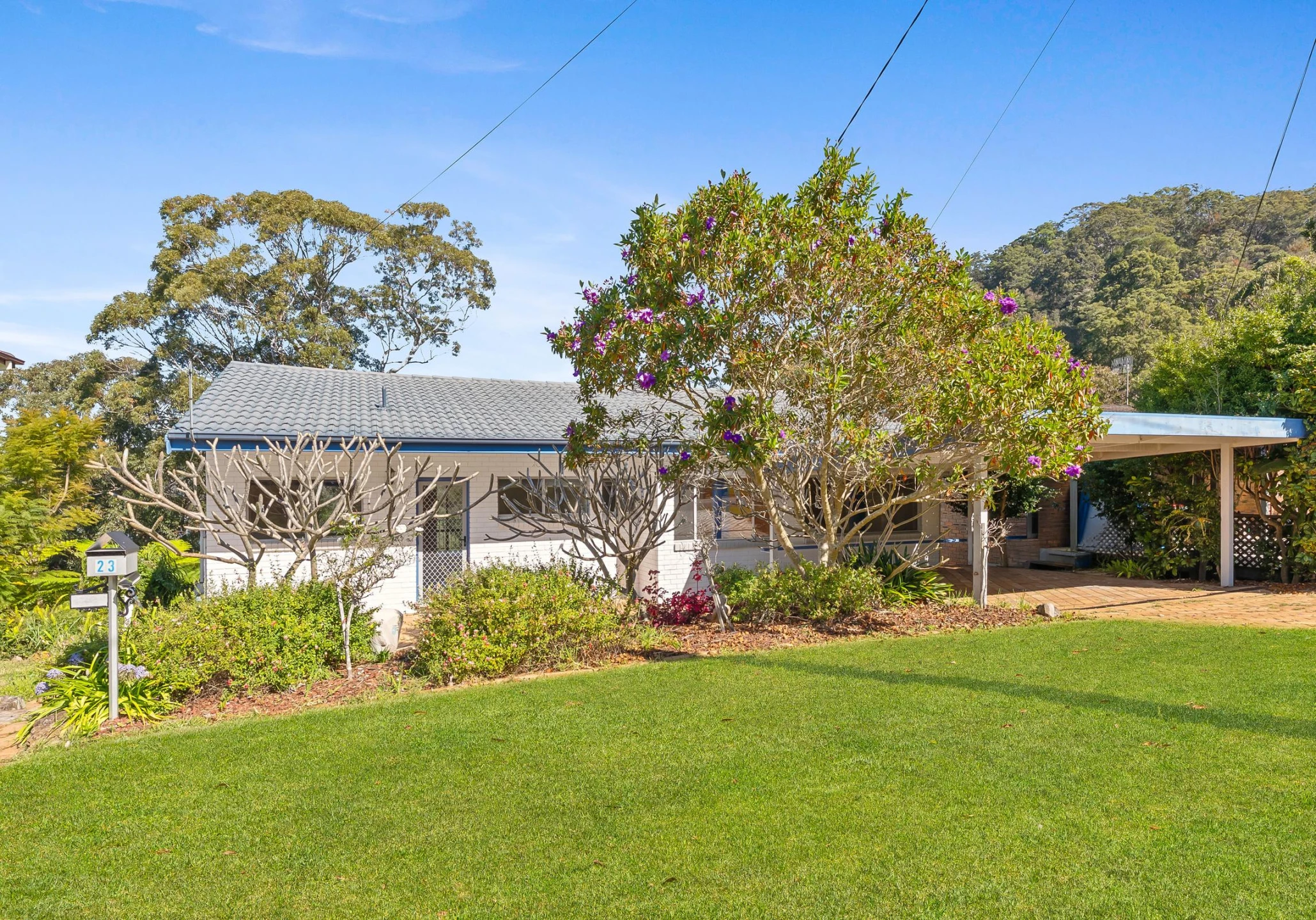 Listing image