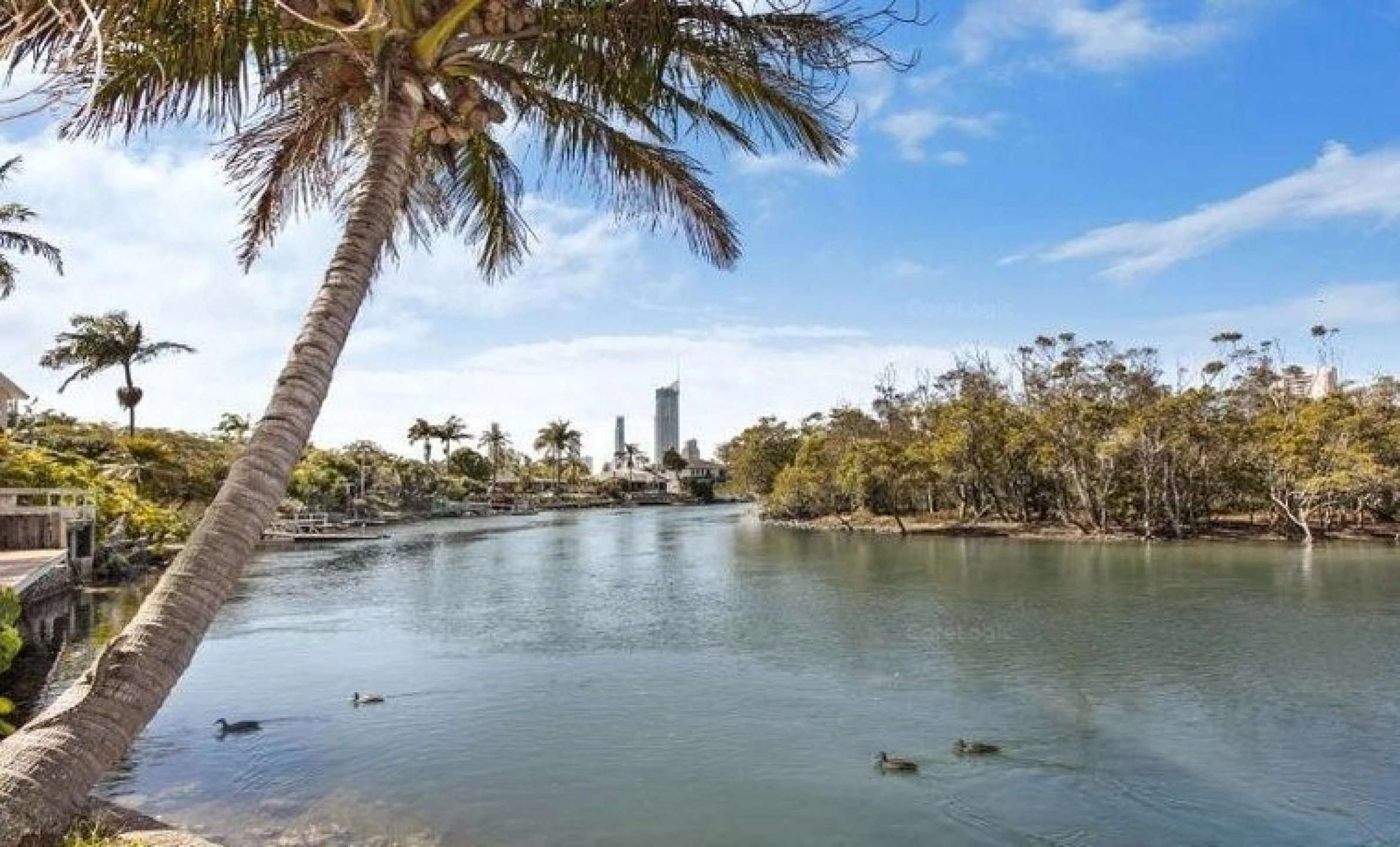 32 Savoy Drive, Broadbeach Waters QLD 4218, Broadbeach Waters - Thumbnail 3