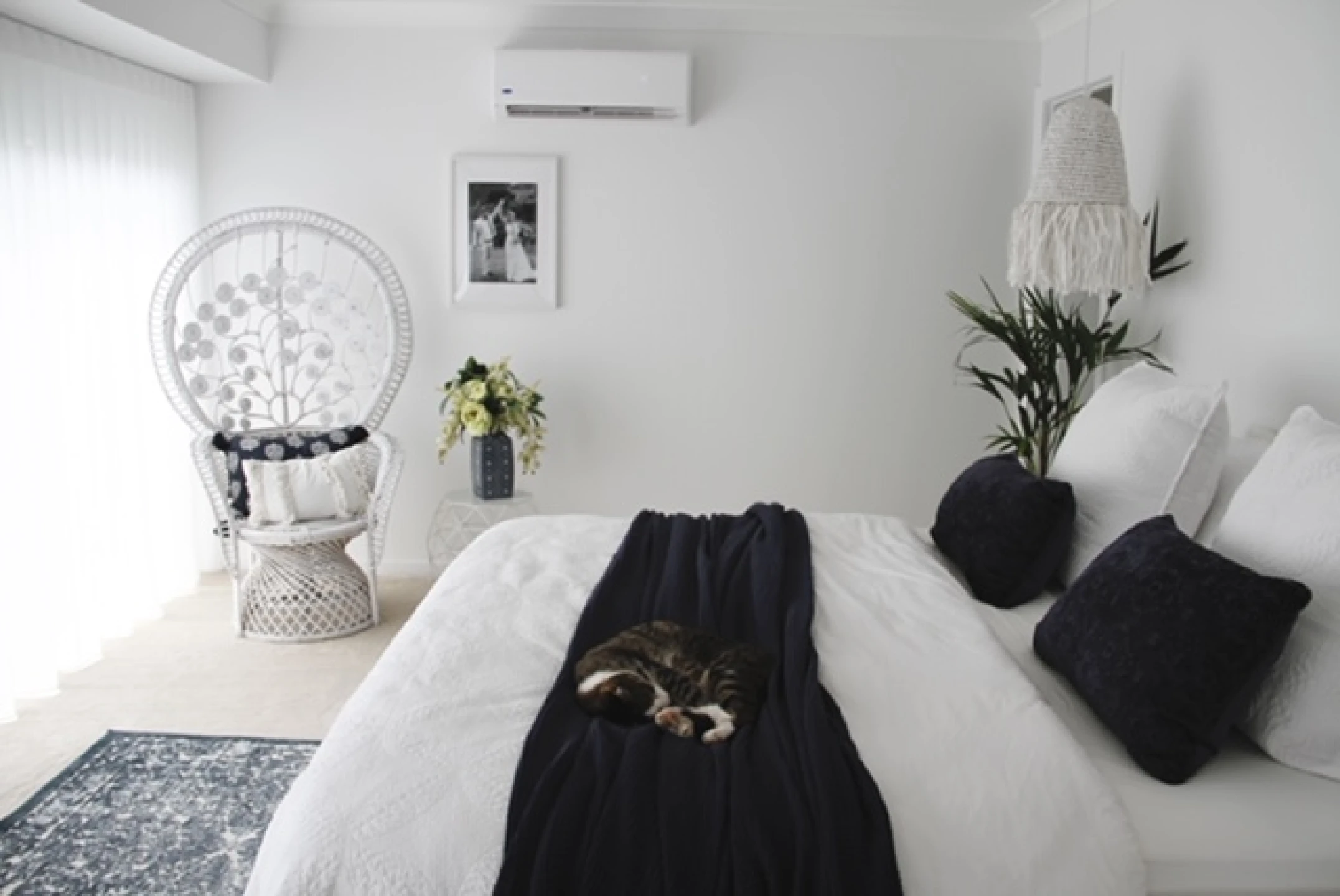 9 Haslewood Court, Mermaid Waters QLD 4218, Mermaid Waters - Thumbnail 8