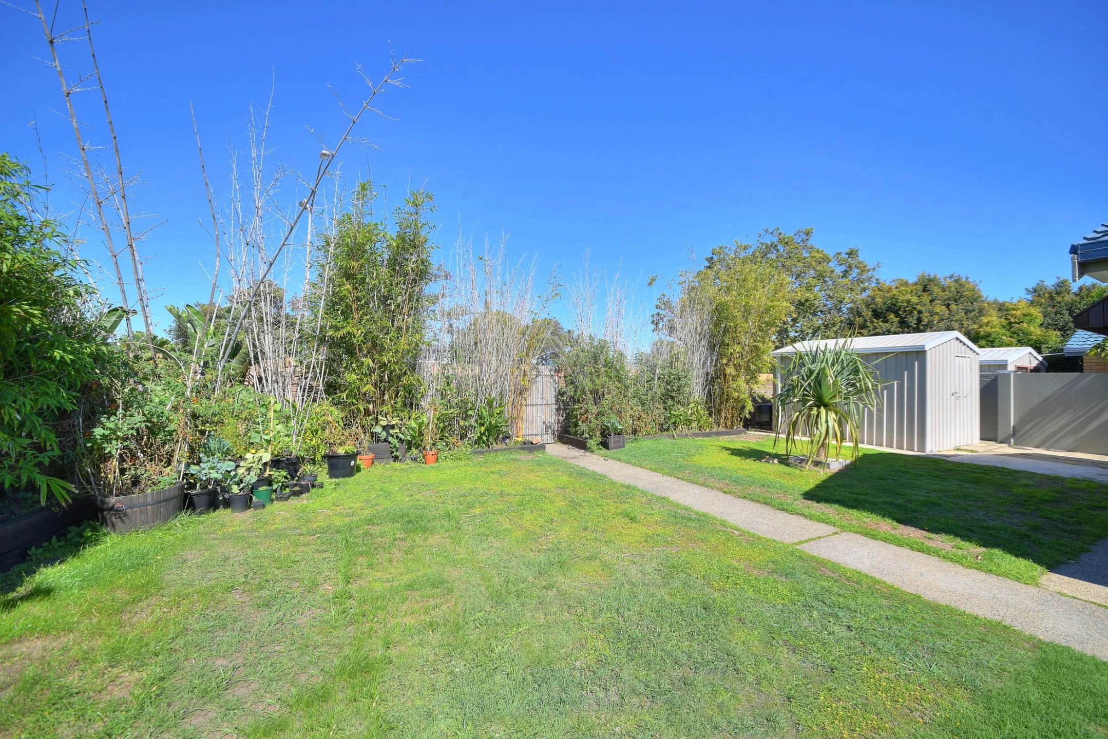 5 Australis Court, Mermaid Waters QLD 4218, Mermaid Waters - Thumbnail 3