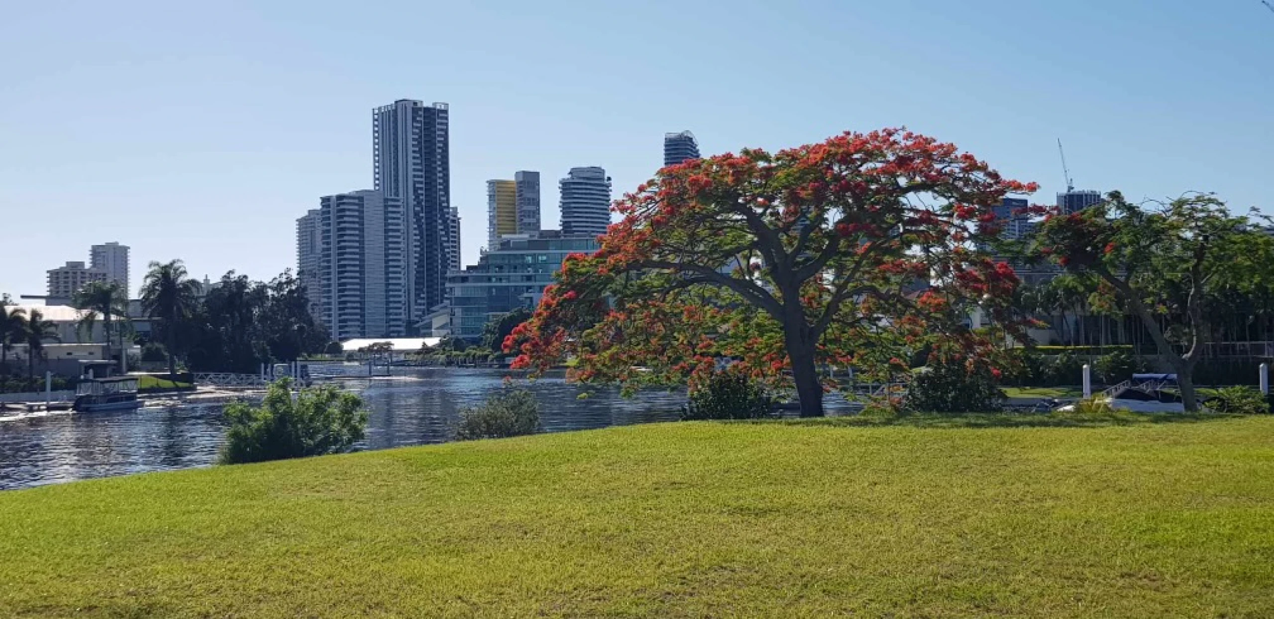 32 Andrea Avenue, Broadbeach Waters QLD 4218, Broadbeach Waters - Thumbnail 2