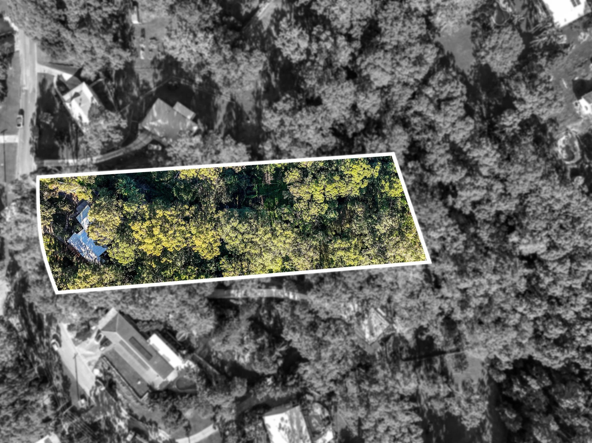 6 Wednesday Drive, Tallebudgera Valley QLD 4228, Tallebudgera Valley - Thumbnail 3