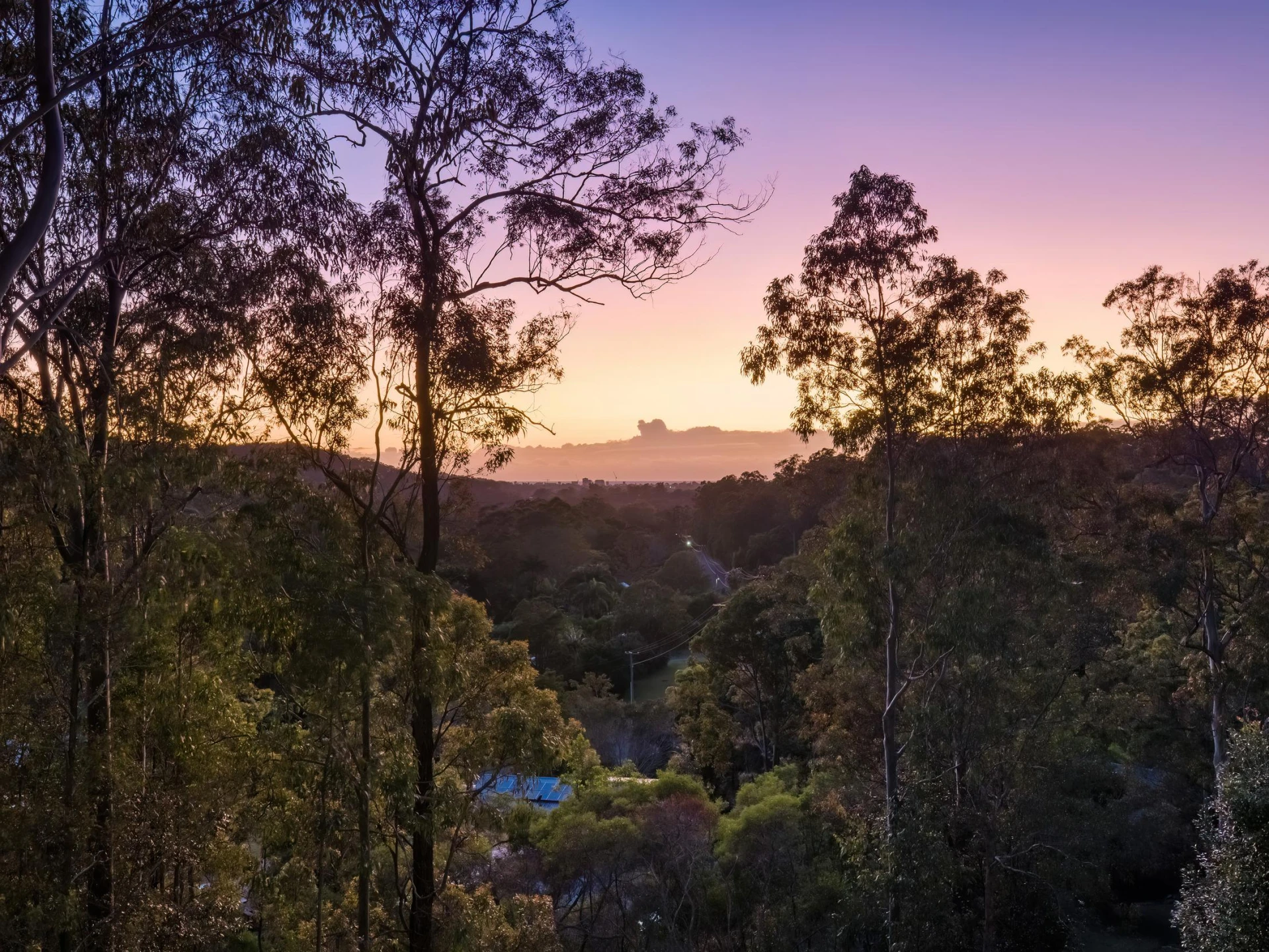 16 Clare Court, Tallebudgera Valley QLD 4228, Tallebudgera Valley - Thumbnail 3