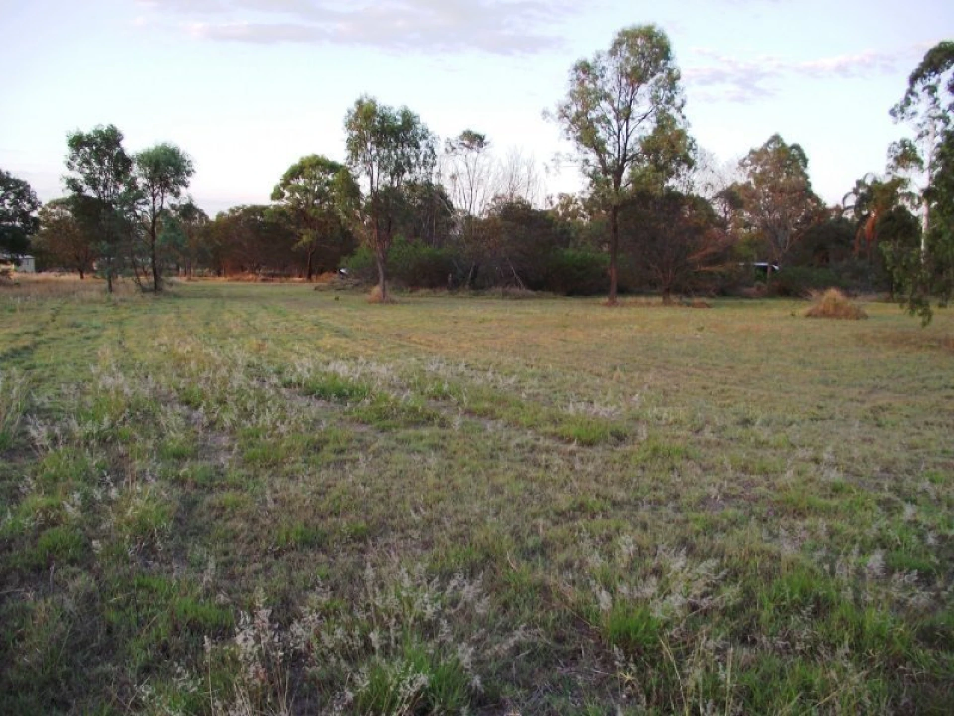 4 Magpie Avenue, Regency Downs QLD 4341, Regency Downs - Thumbnail 4
