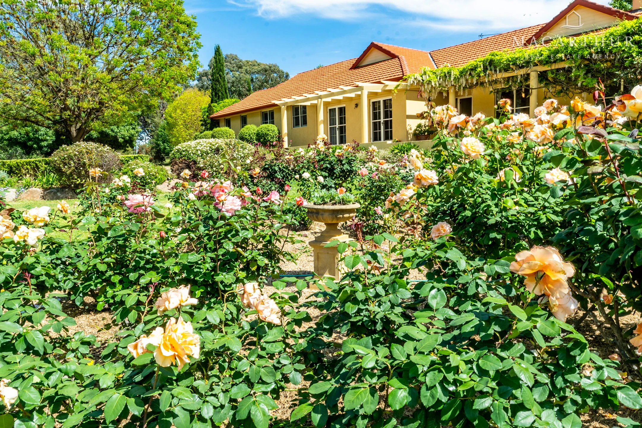 Established gardens at 2 Casuarina Place