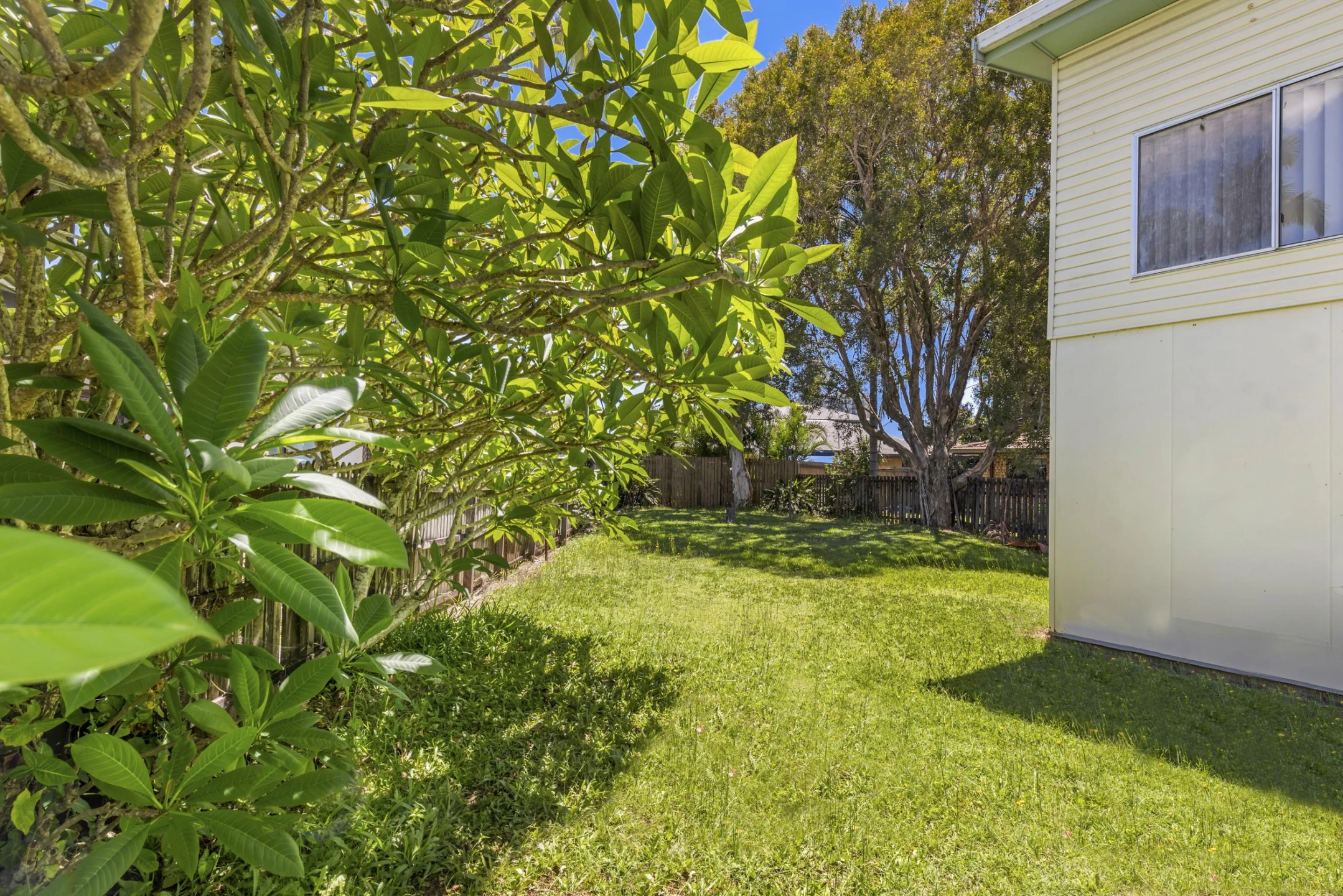 23 Norman Avenue, Maroochydore QLD 4558, Maroochydore - Thumbnail 7
