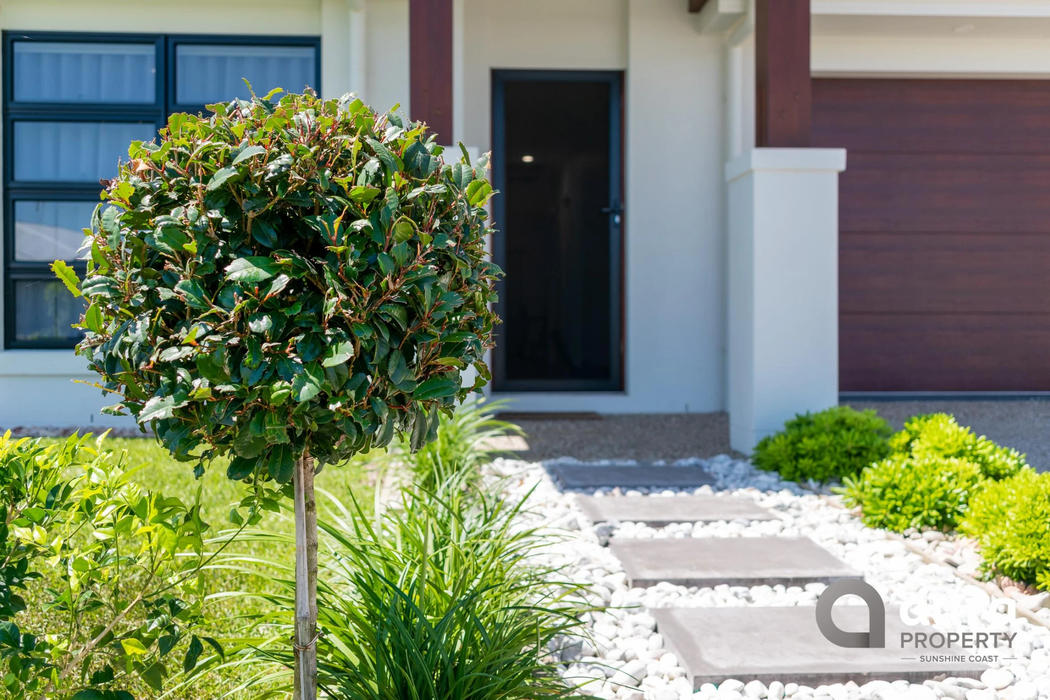 10 Alistair Street, Nirimba QLD 4551, Bells Creek - Thumbnail 2