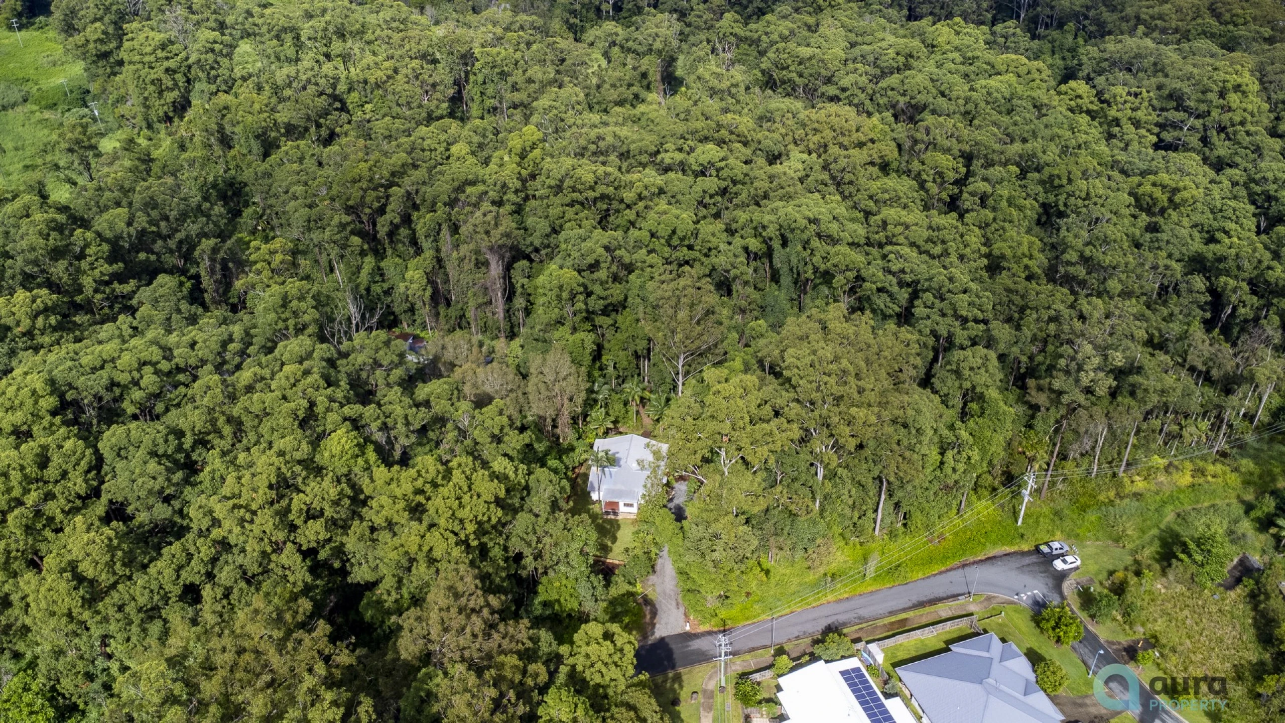 100 East Palmwoods School Road, Palmwoods QLD 4555, Palmwoods - Thumbnail 5