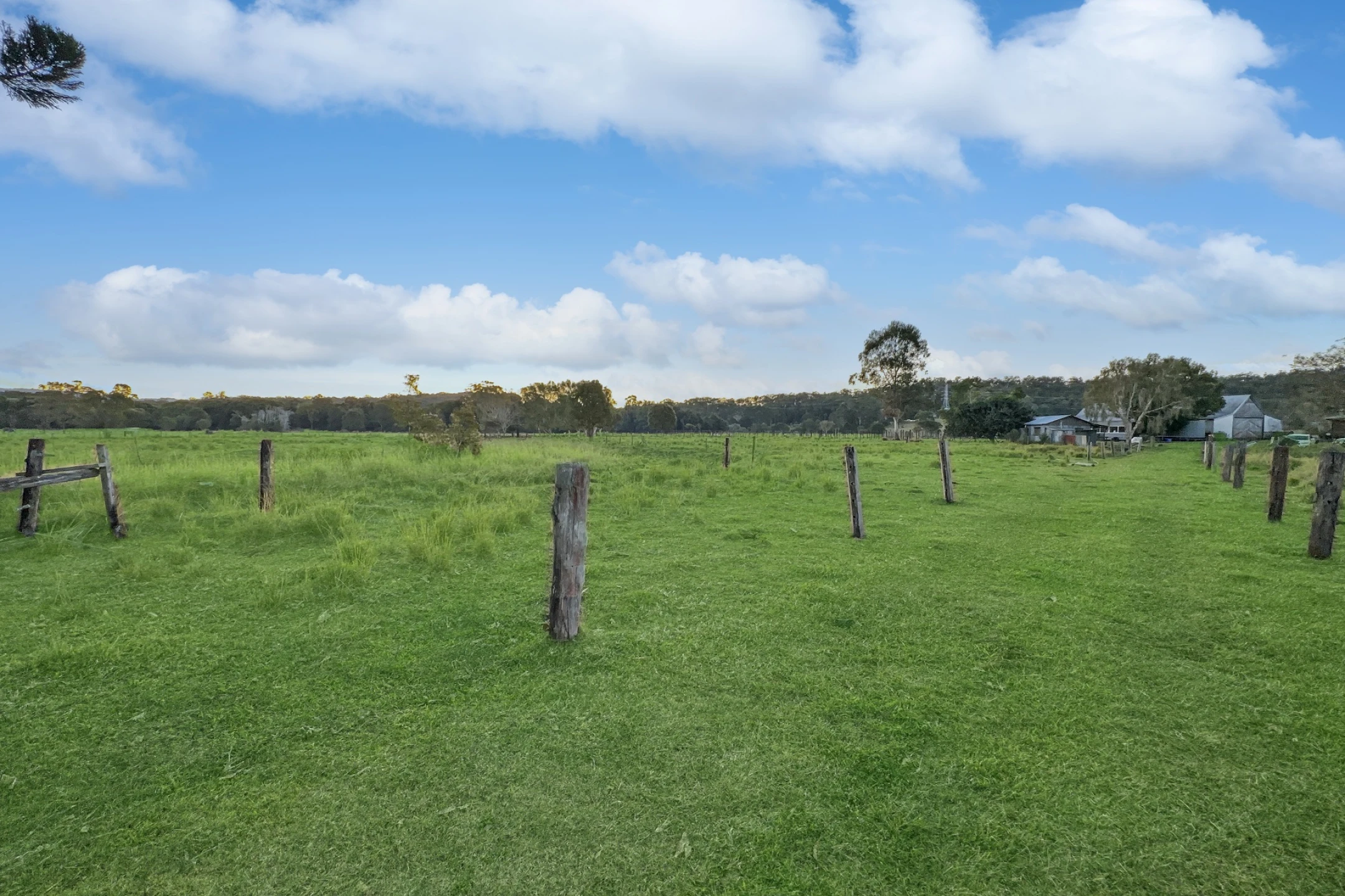 99 McGilchrist Road, Eudlo QLD 4554, Eudlo - Thumbnail 3