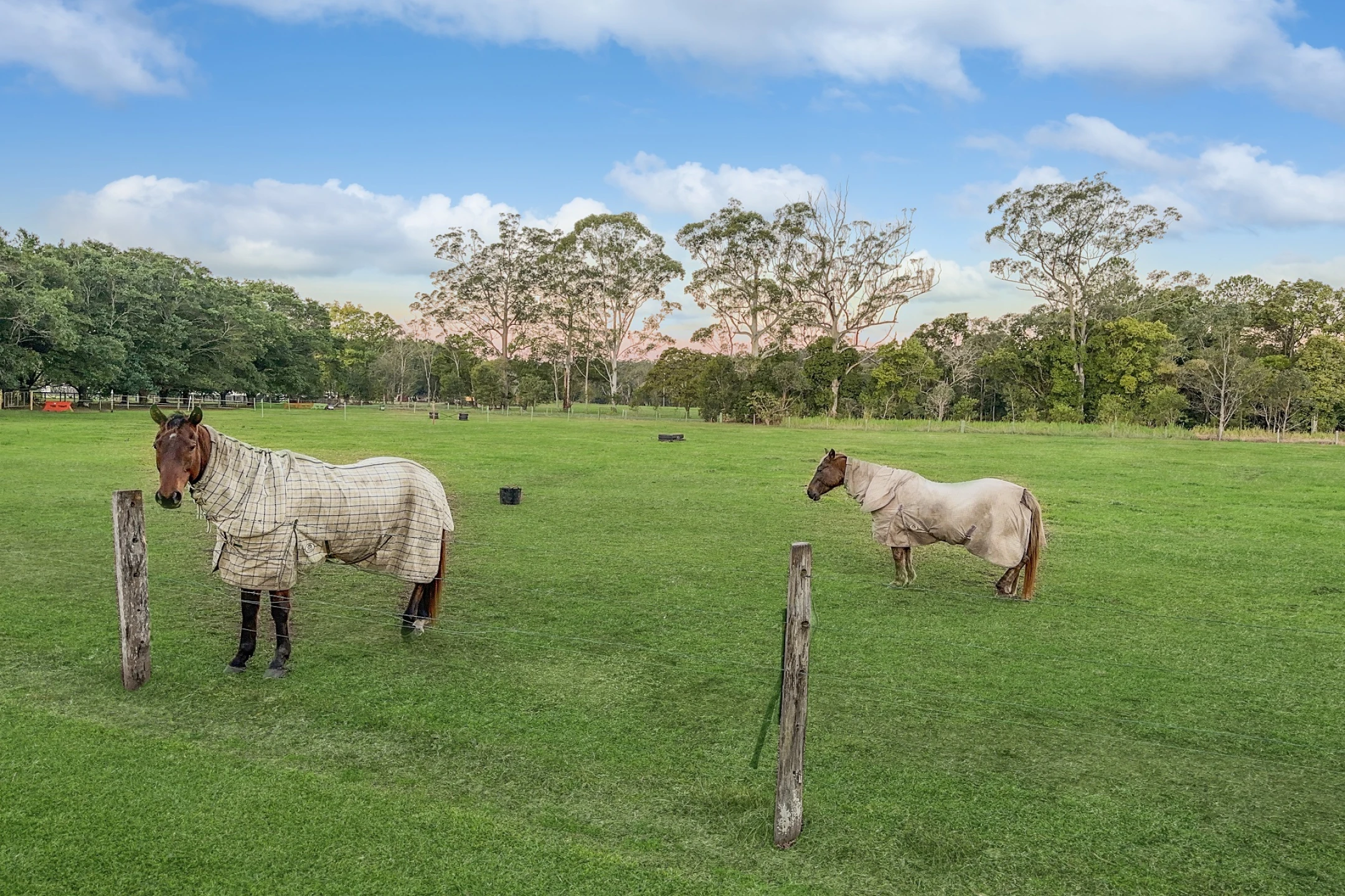 99 McGilchrist Road, Eudlo QLD 4554, Eudlo - Thumbnail 8
