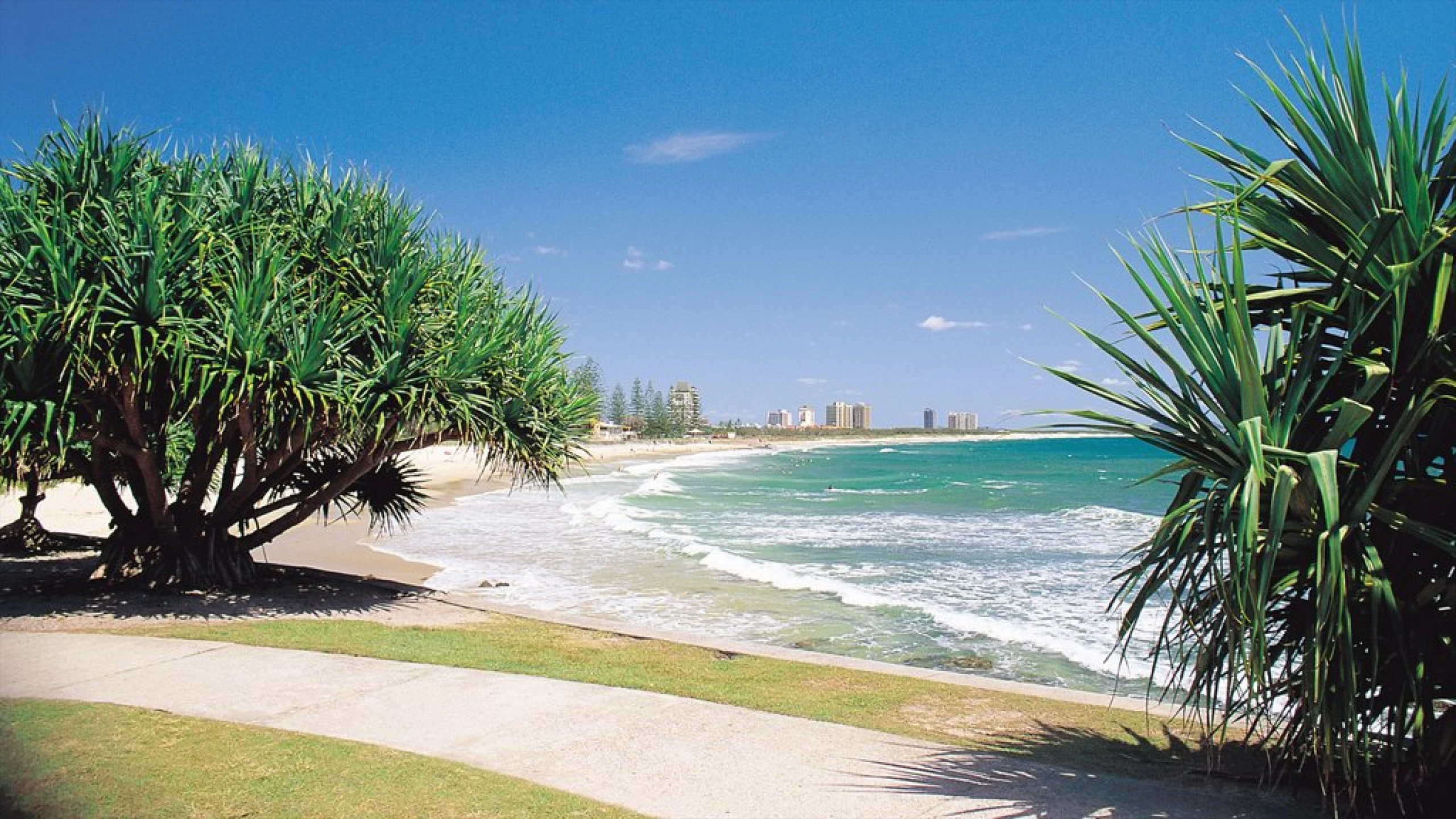 9 Round Bush Crescent, Maroochydore QLD 4558, Maroochydore - Thumbnail 3