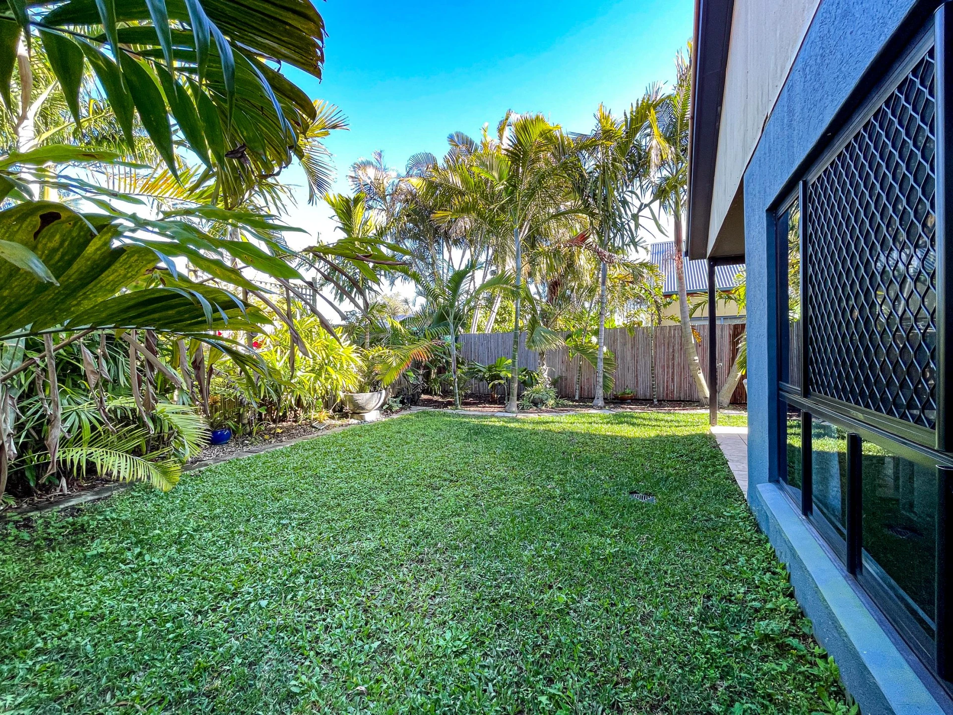 30 Rosslare Street, Caloundra West QLD 4551, Caloundra West - Thumbnail 3